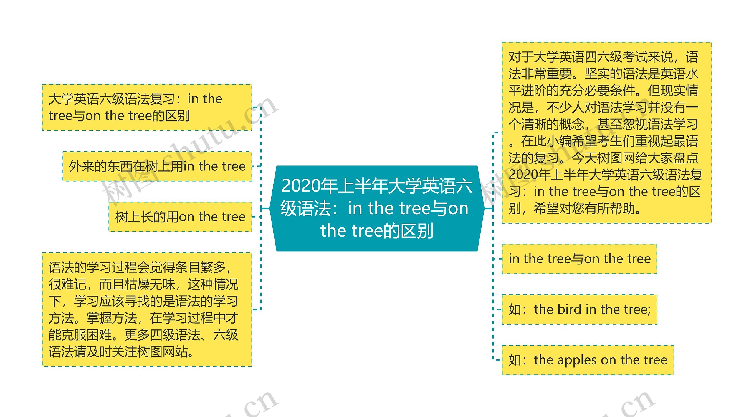 2020年上半年大学英语六级语法：in the tree与on the tree的区别思维导图