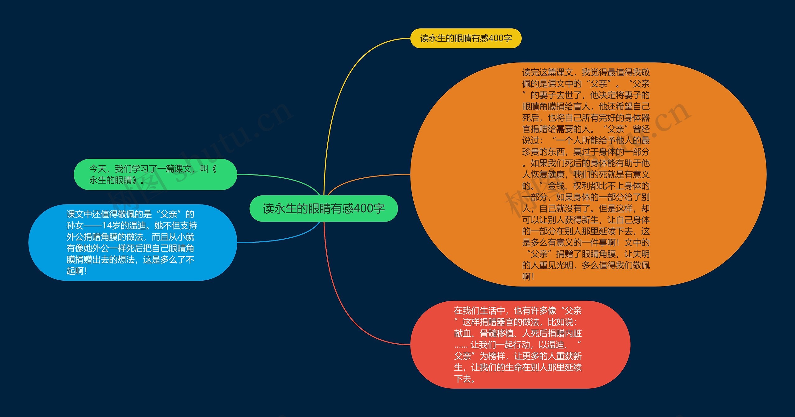 读永生的眼睛有感400字