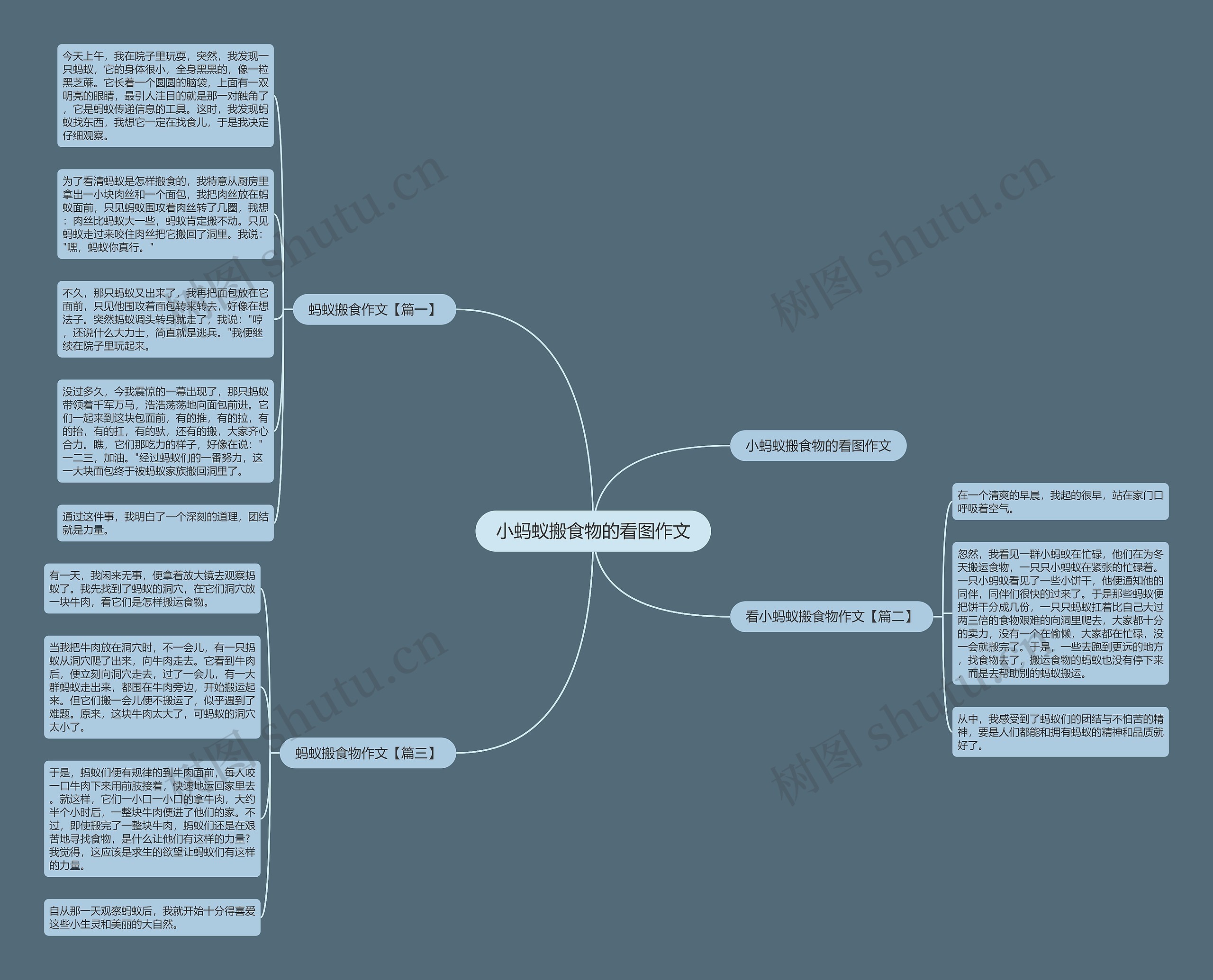 小蚂蚁搬食物的看图作文 小蚂蚁搬食物的看图作文