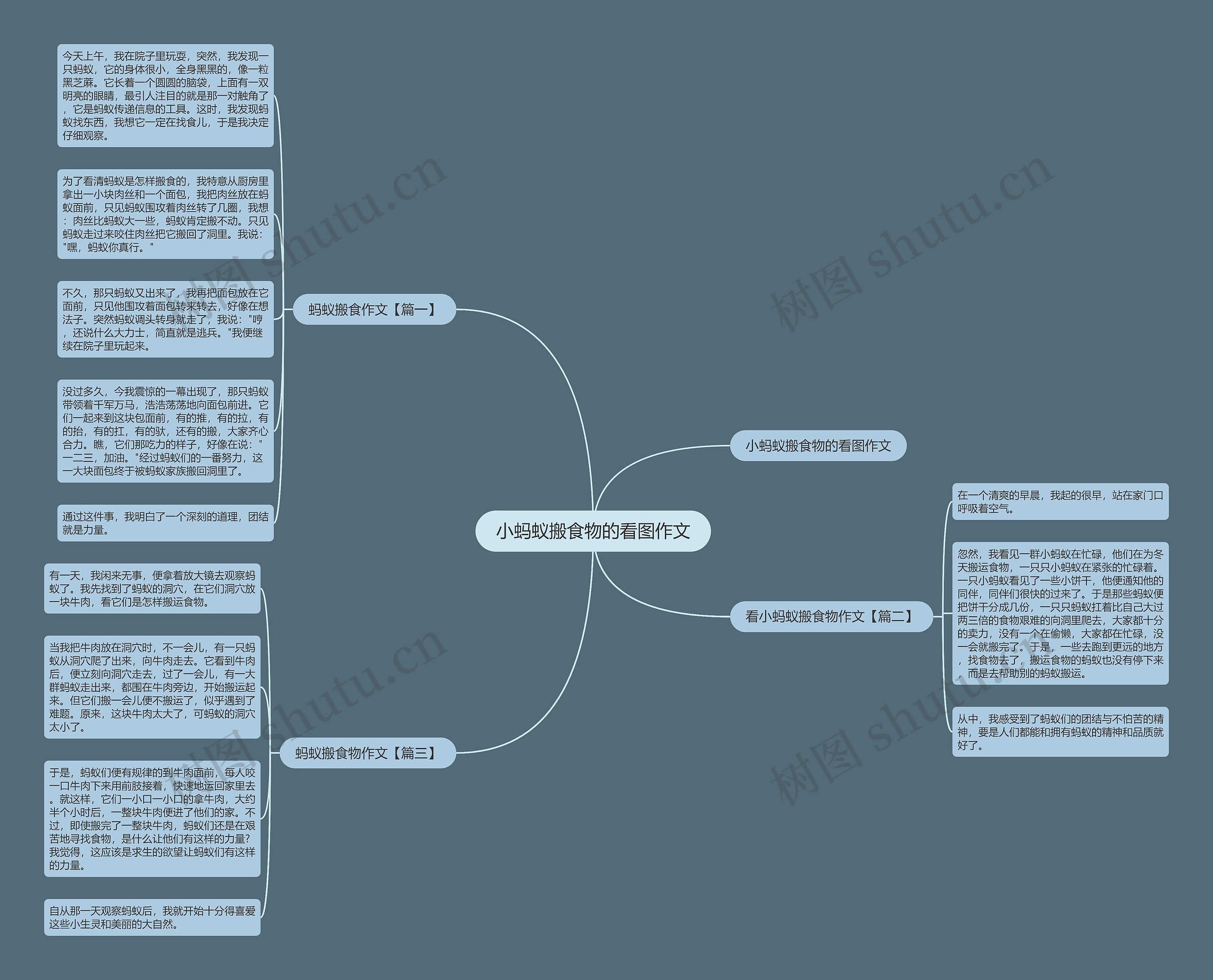 小蚂蚁搬食物的看图作文思维导图