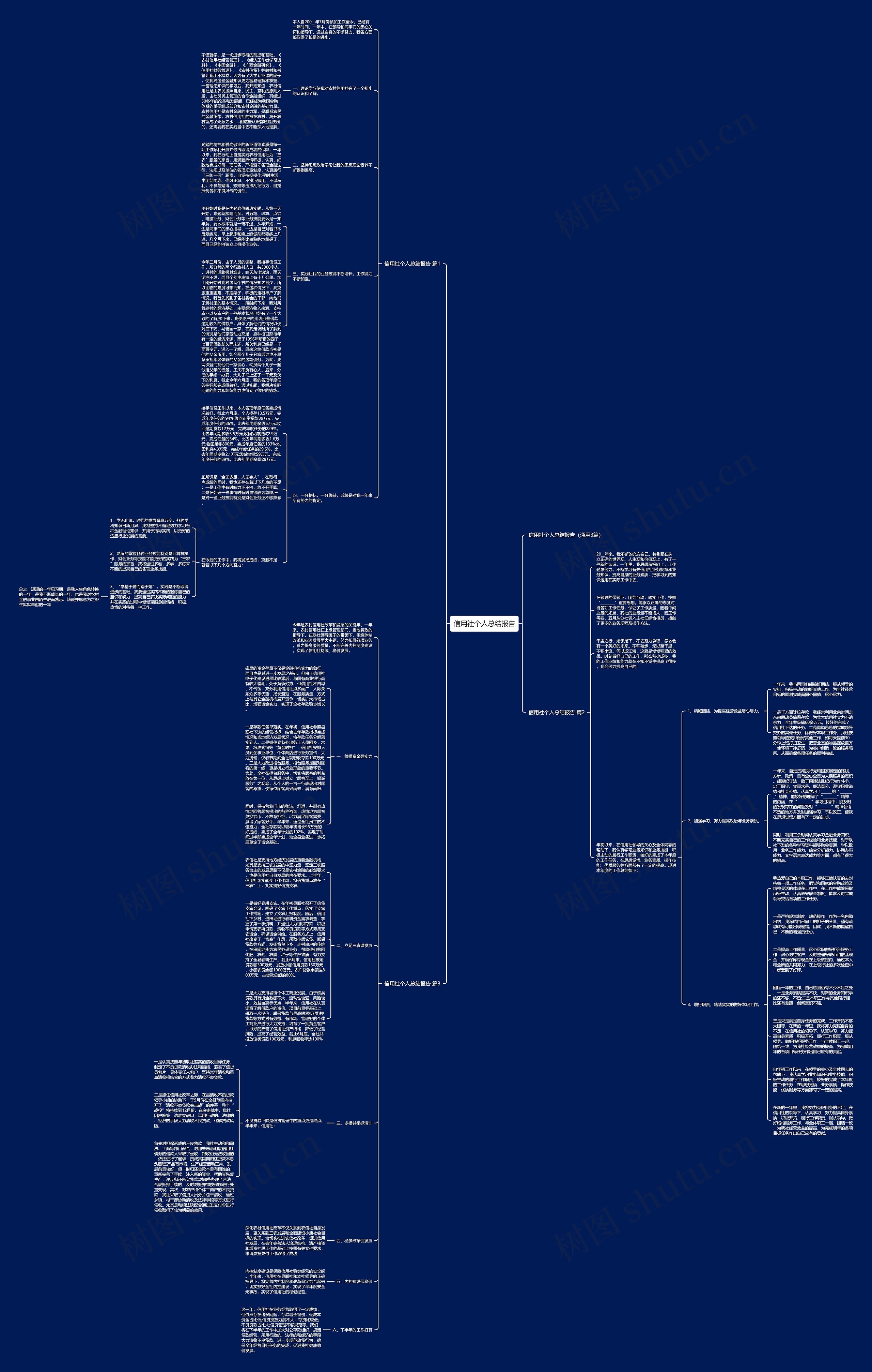 信用社个人总结报告思维导图