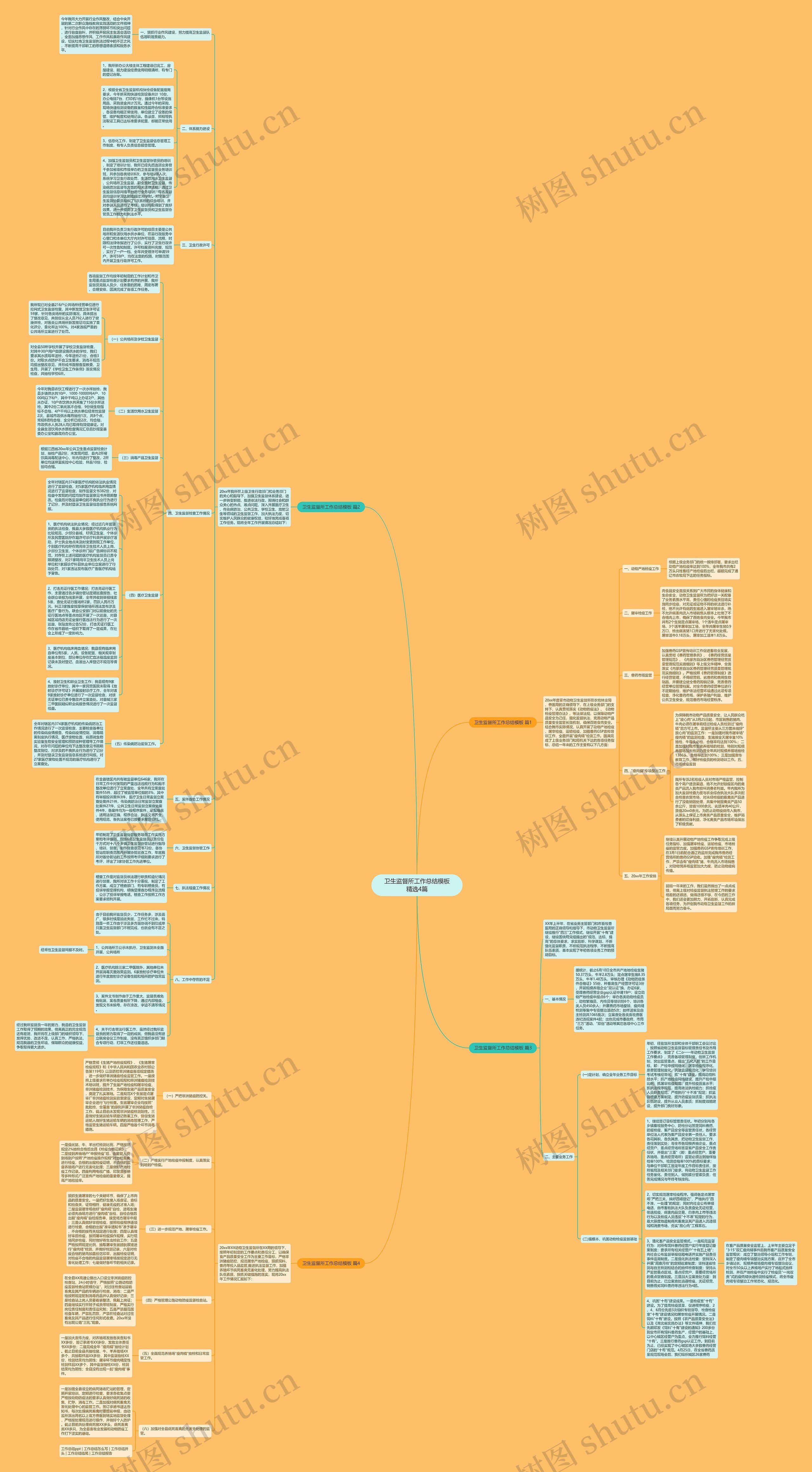 卫生监督所工作总结精选4篇思维导图
