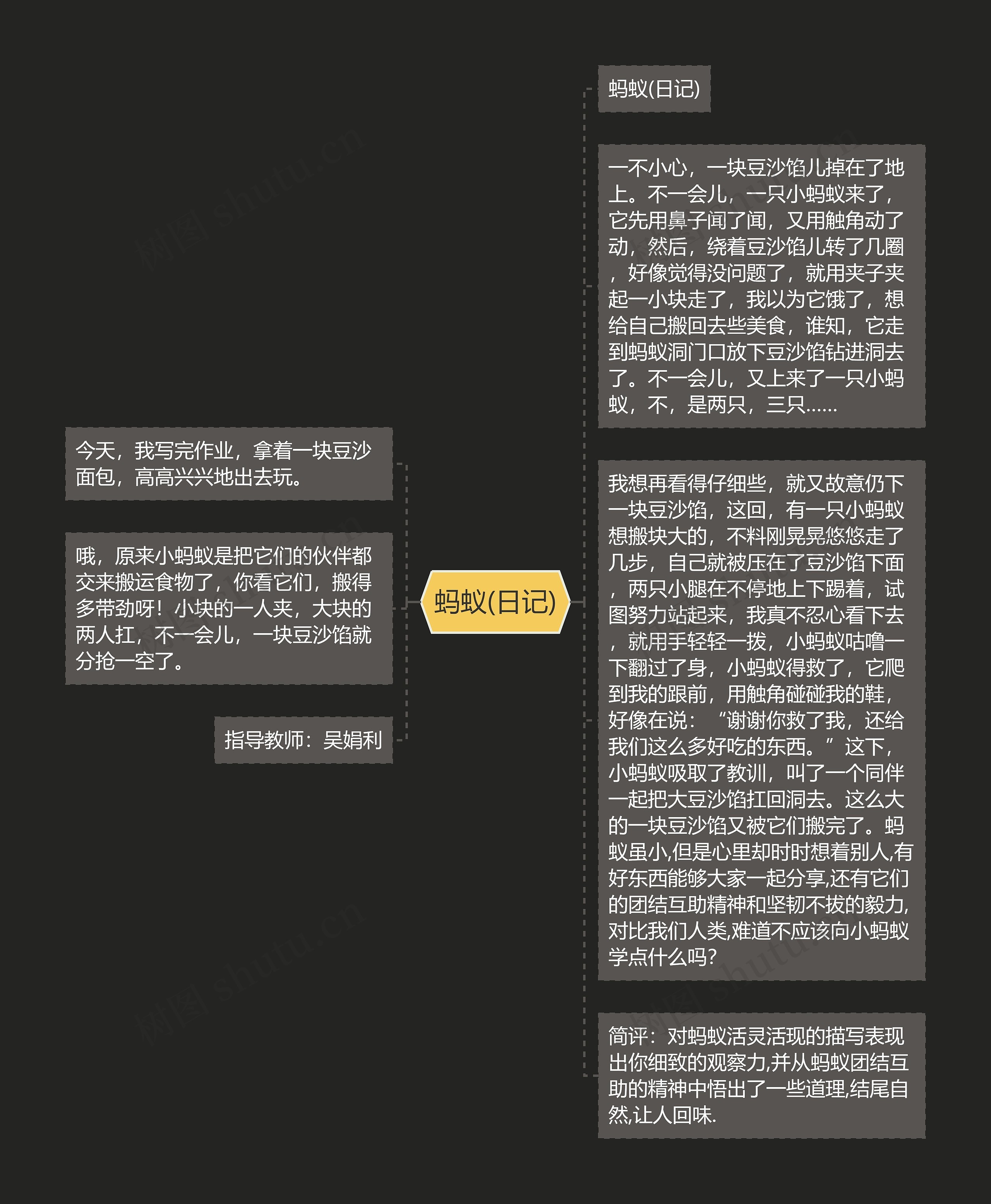 蚂蚁(日记)