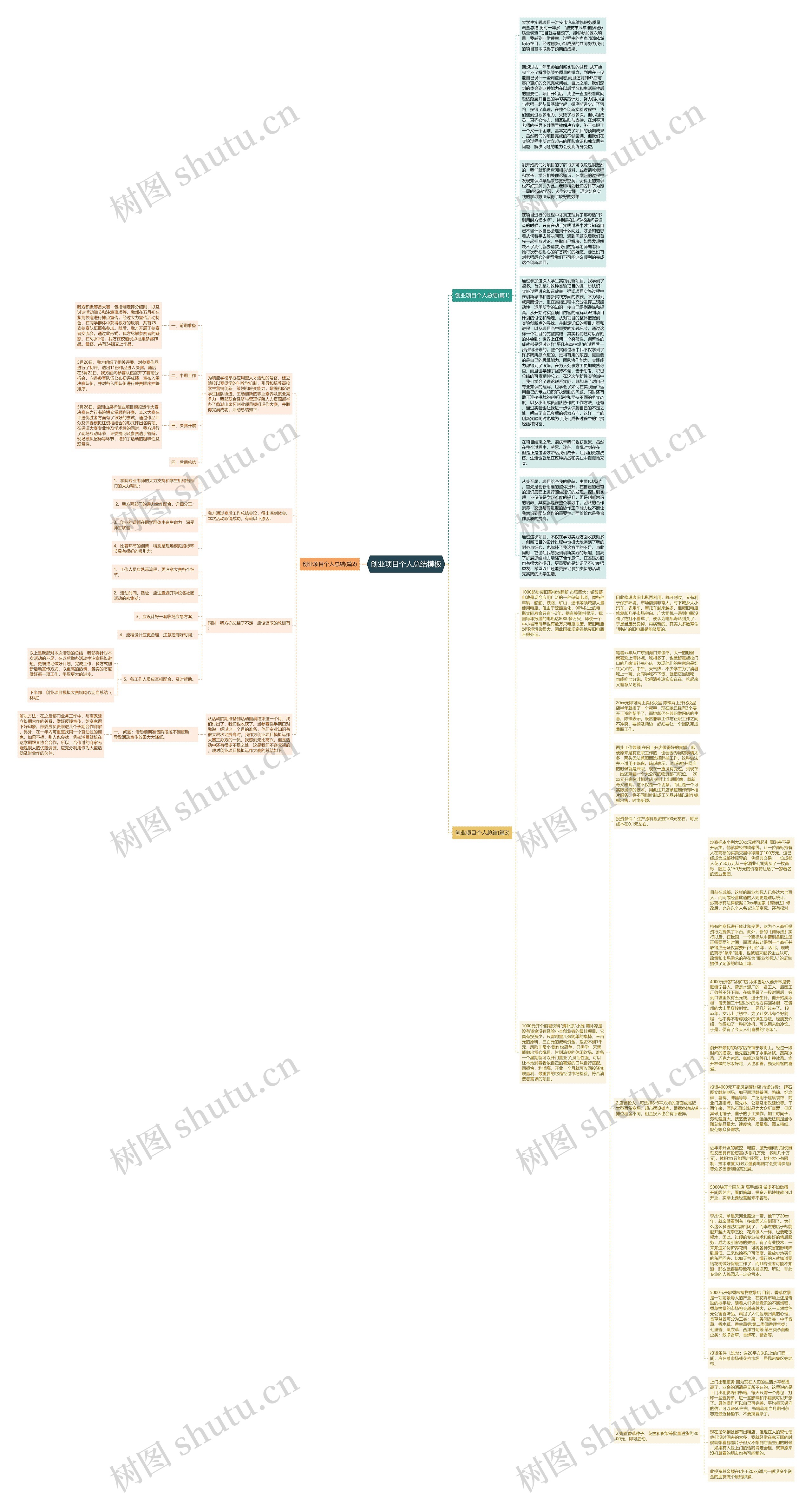 创业项目个人总结思维导图