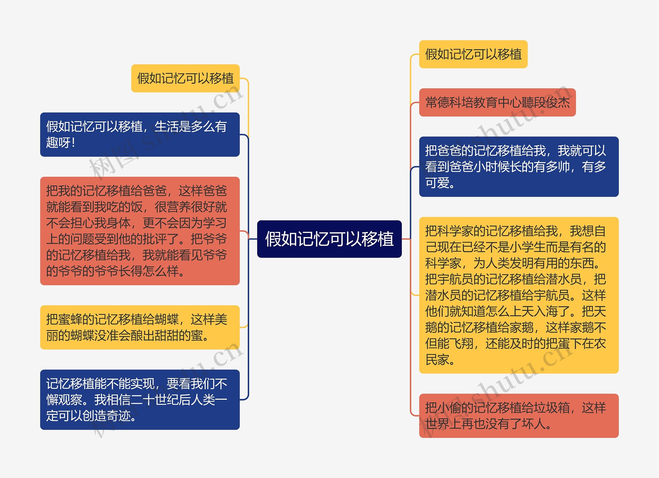 假如记忆可以移植思维导图