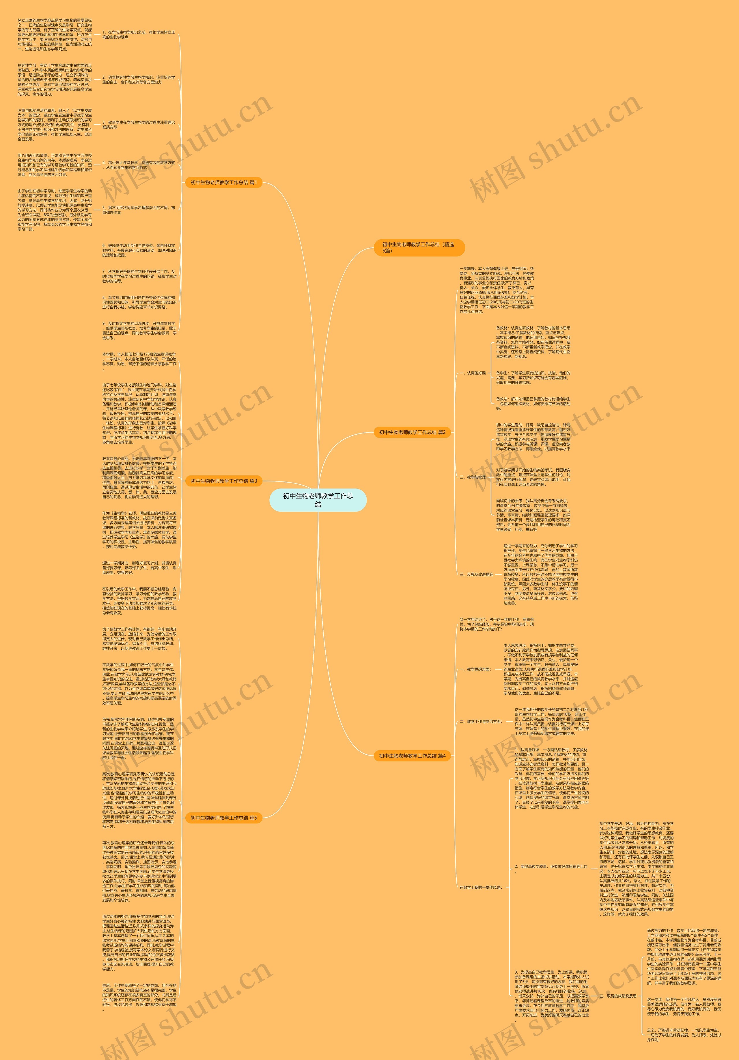 初中生物老师教学工作总结思维导图