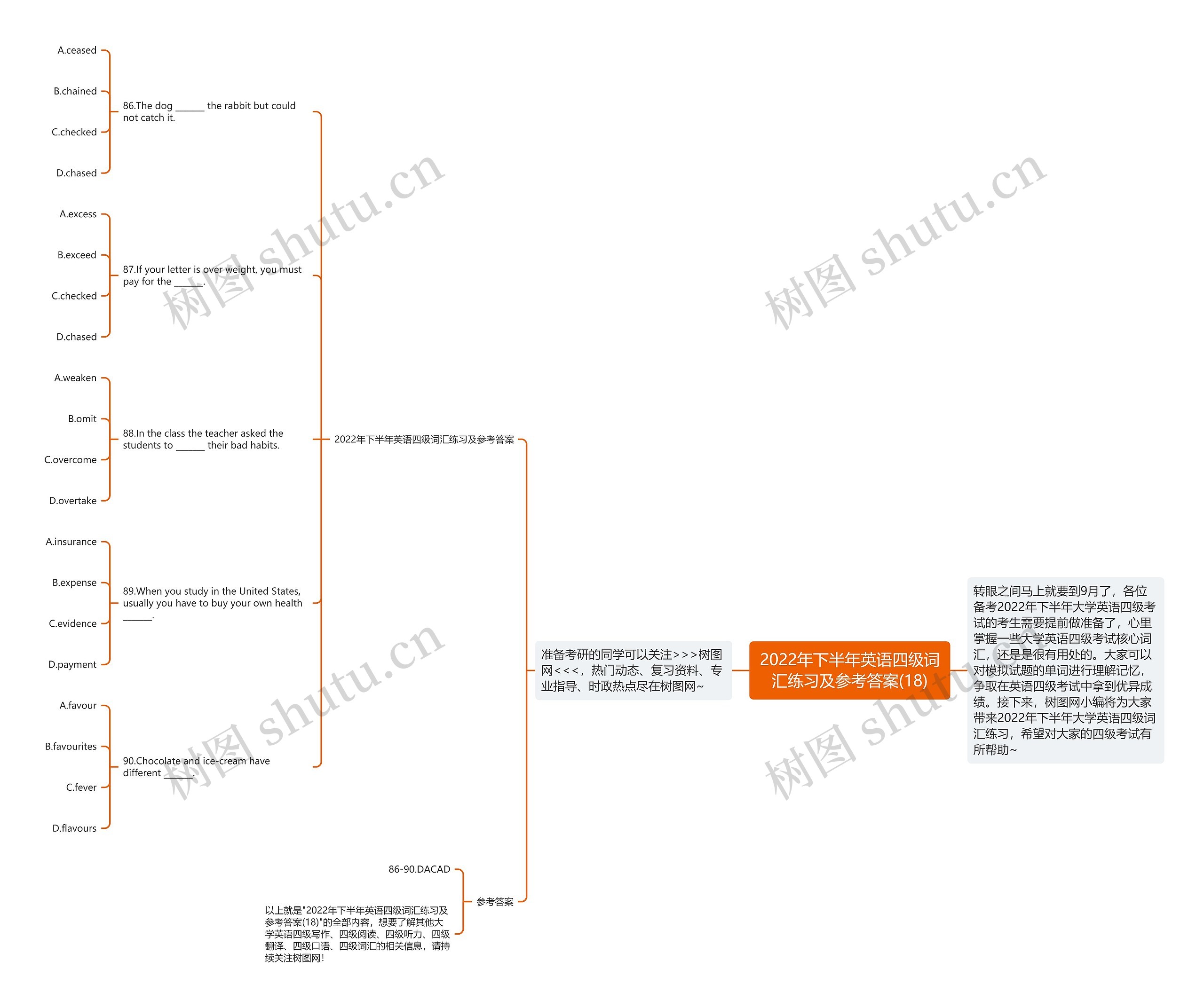 2022年下半年英语四级词汇练习及参考答案(18)思维导图