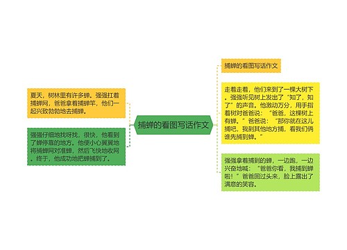 捕蝉的看图写话作文 捕蝉的看图写话作文