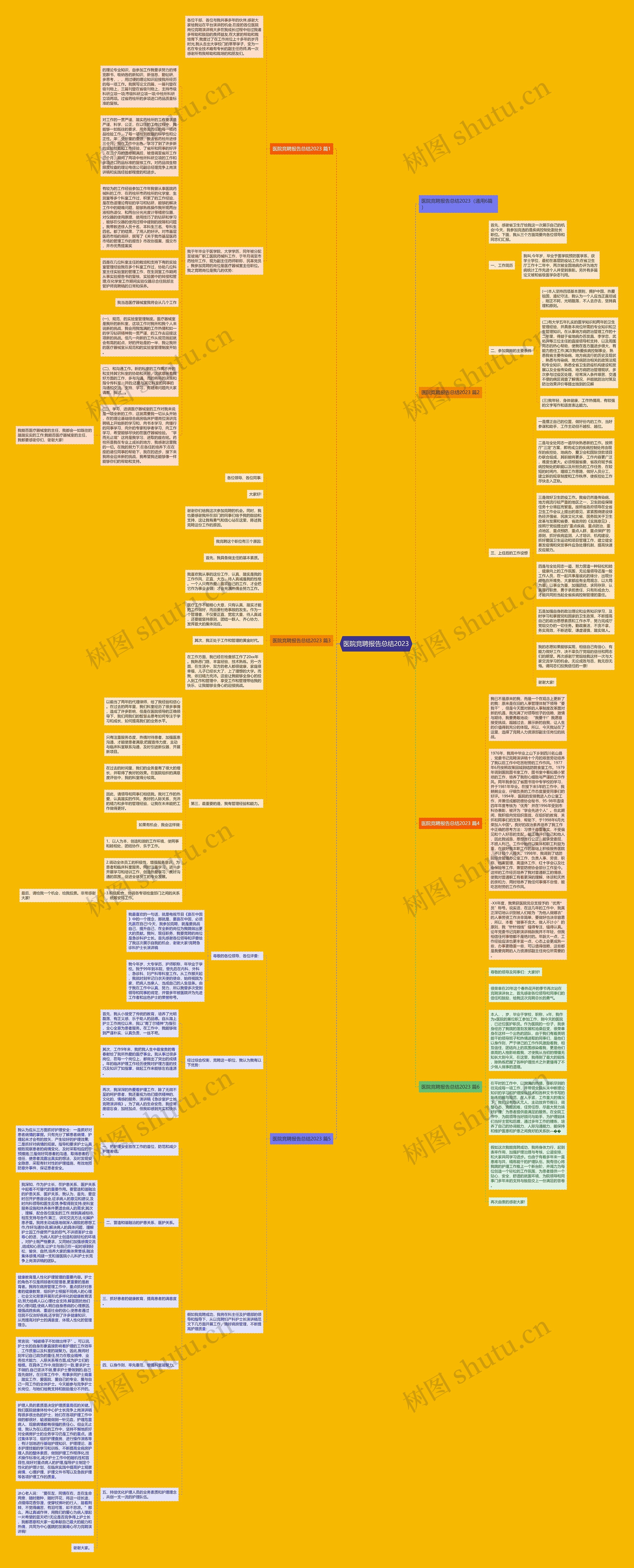 医院竞聘报告总结2023思维导图