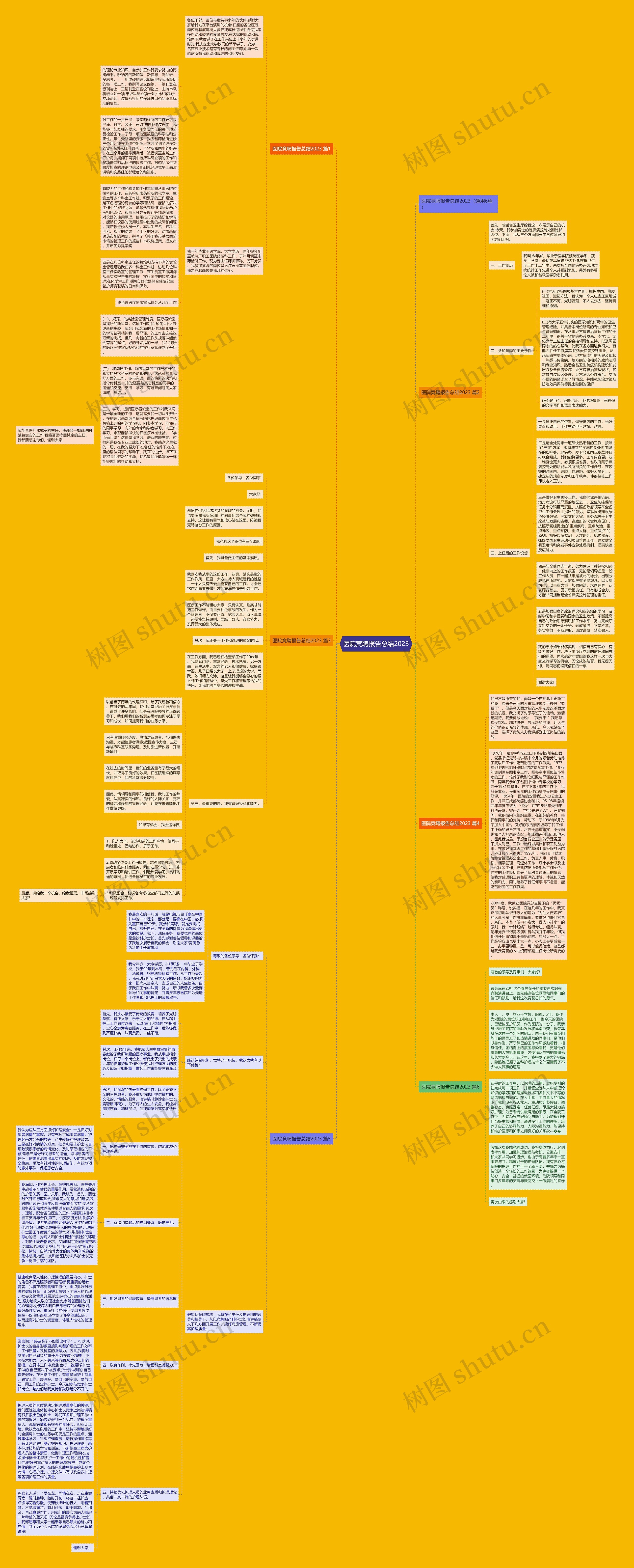 医院竞聘报告总结2023 医院竞聘报告总结2023