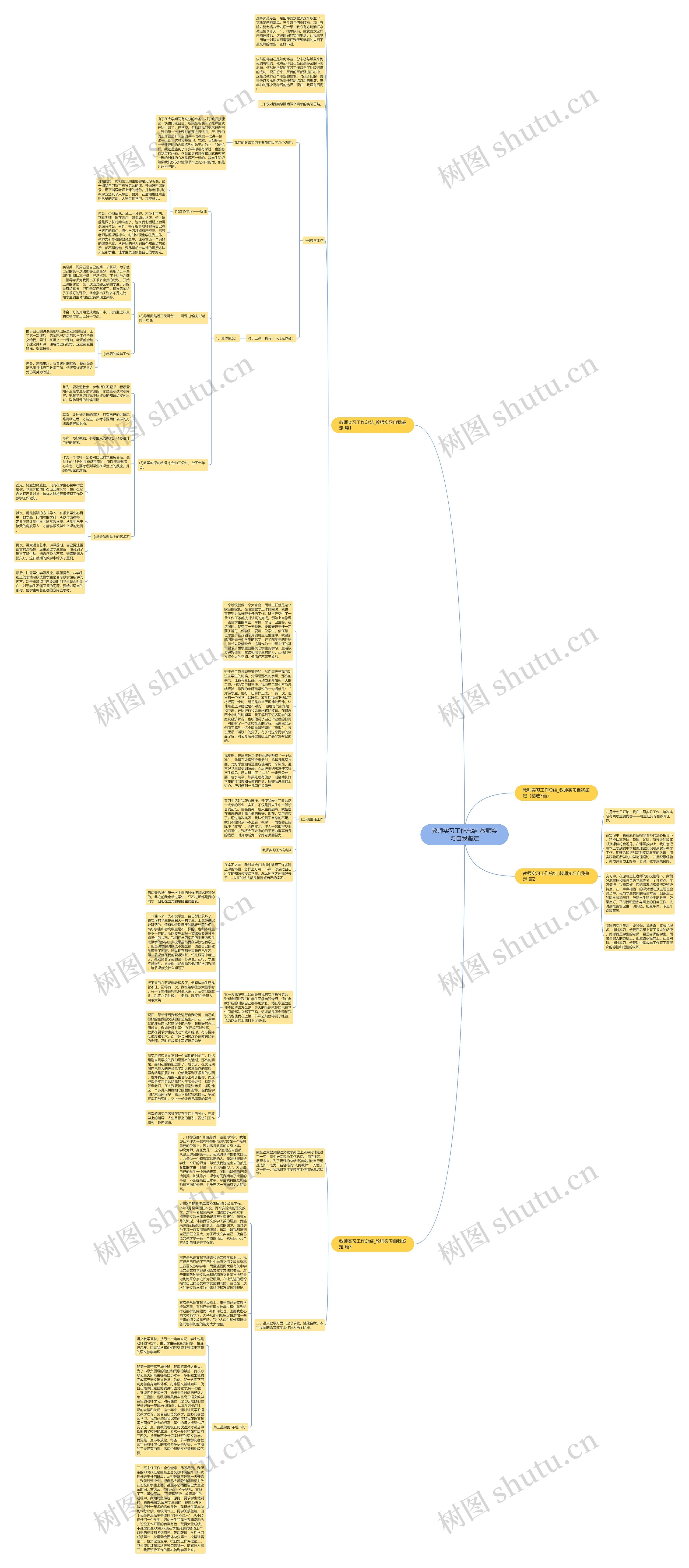教师实习工作总结_教师实习自我鉴定思维导图