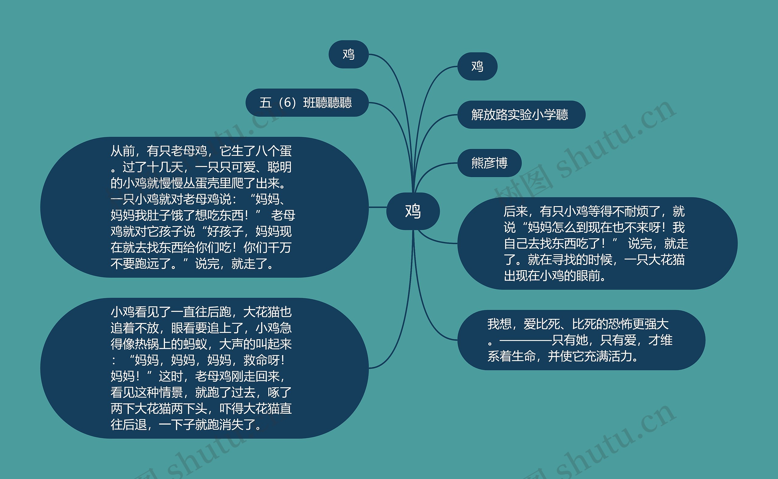 鸡思维导图