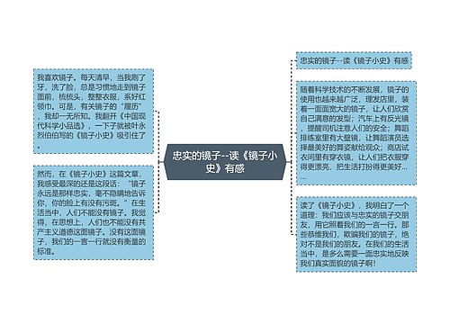 忠实的镜子--读《镜子小史》有感