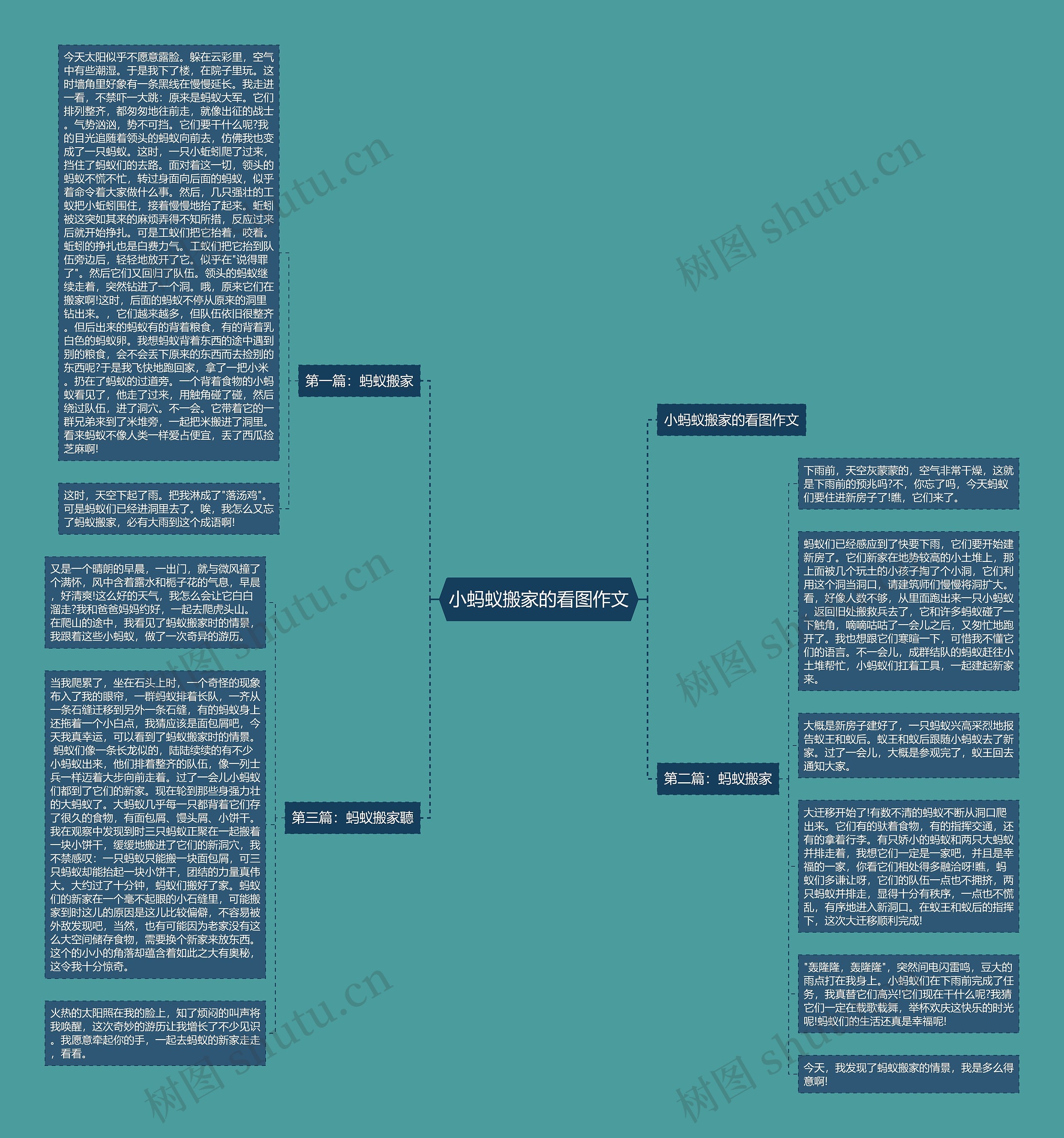 小蚂蚁搬家的看图作文思维导图