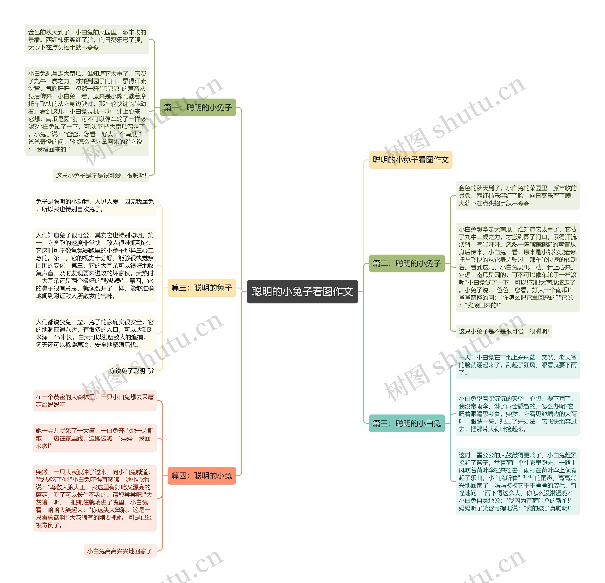 聪明的小兔子看图作文思维导图