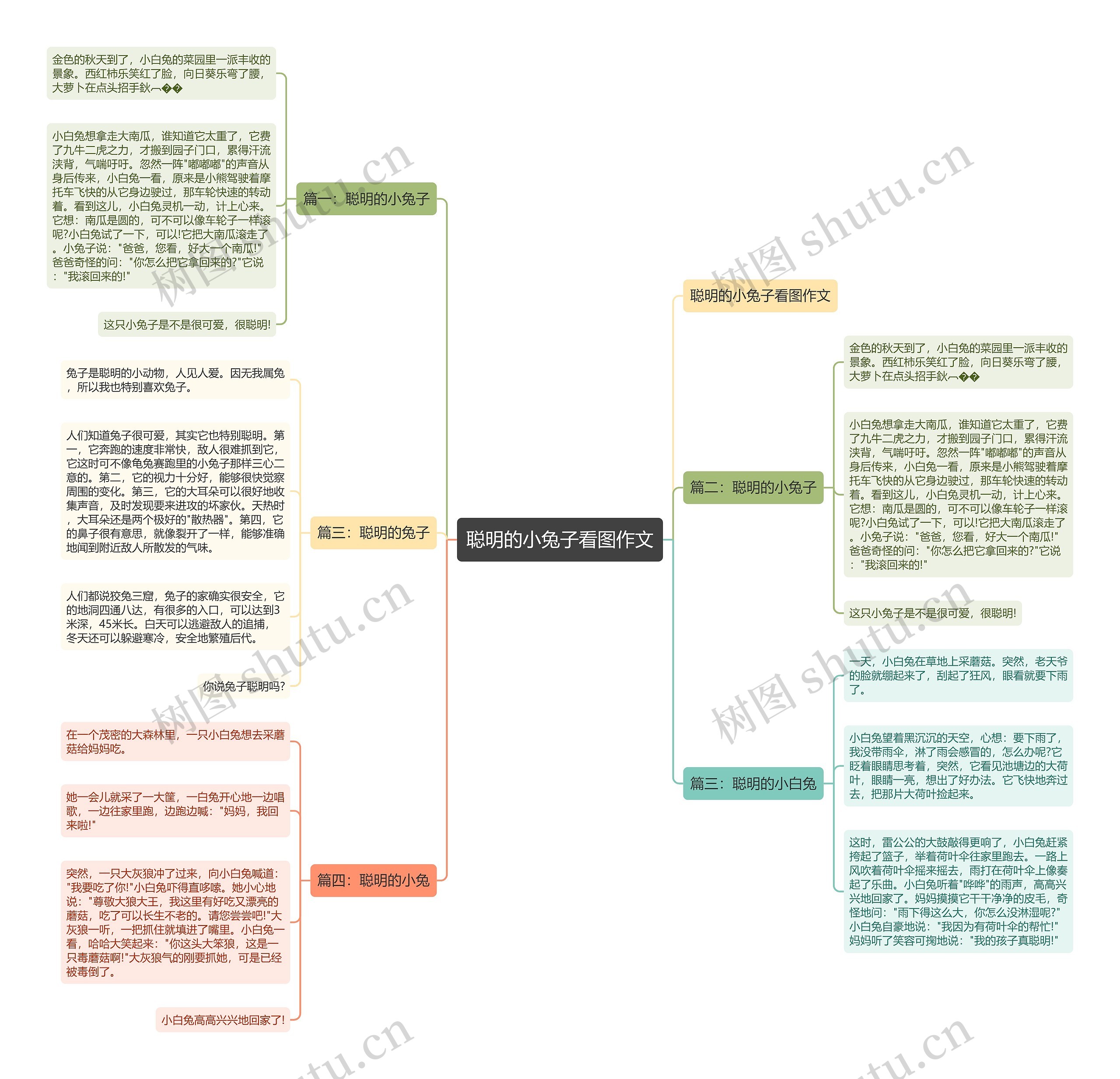 聪明的小兔子看图作文 聪明的小兔子看图作文