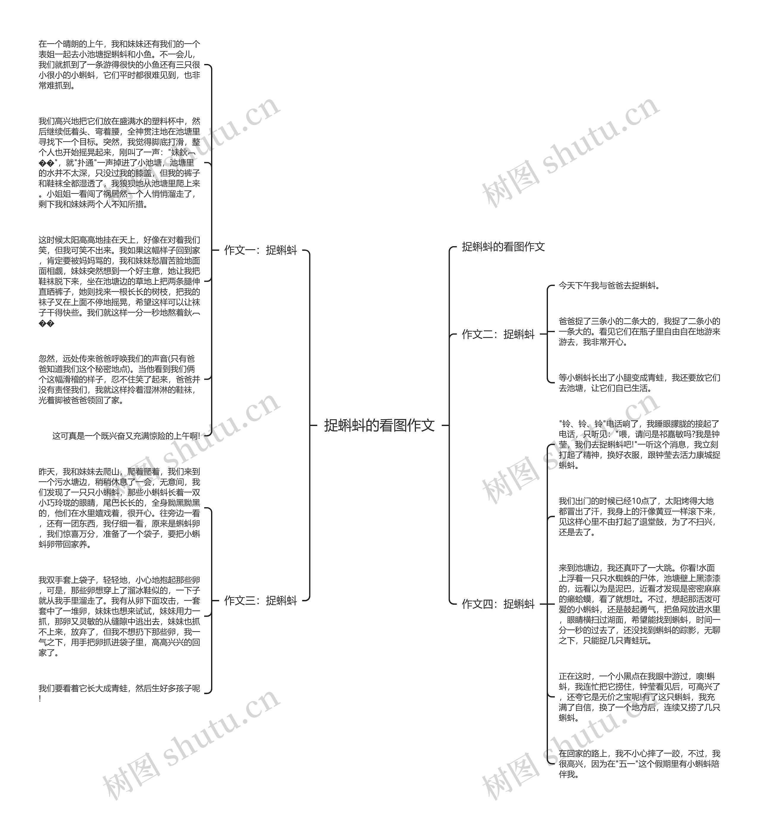 捉蝌蚪的看图作文思维导图