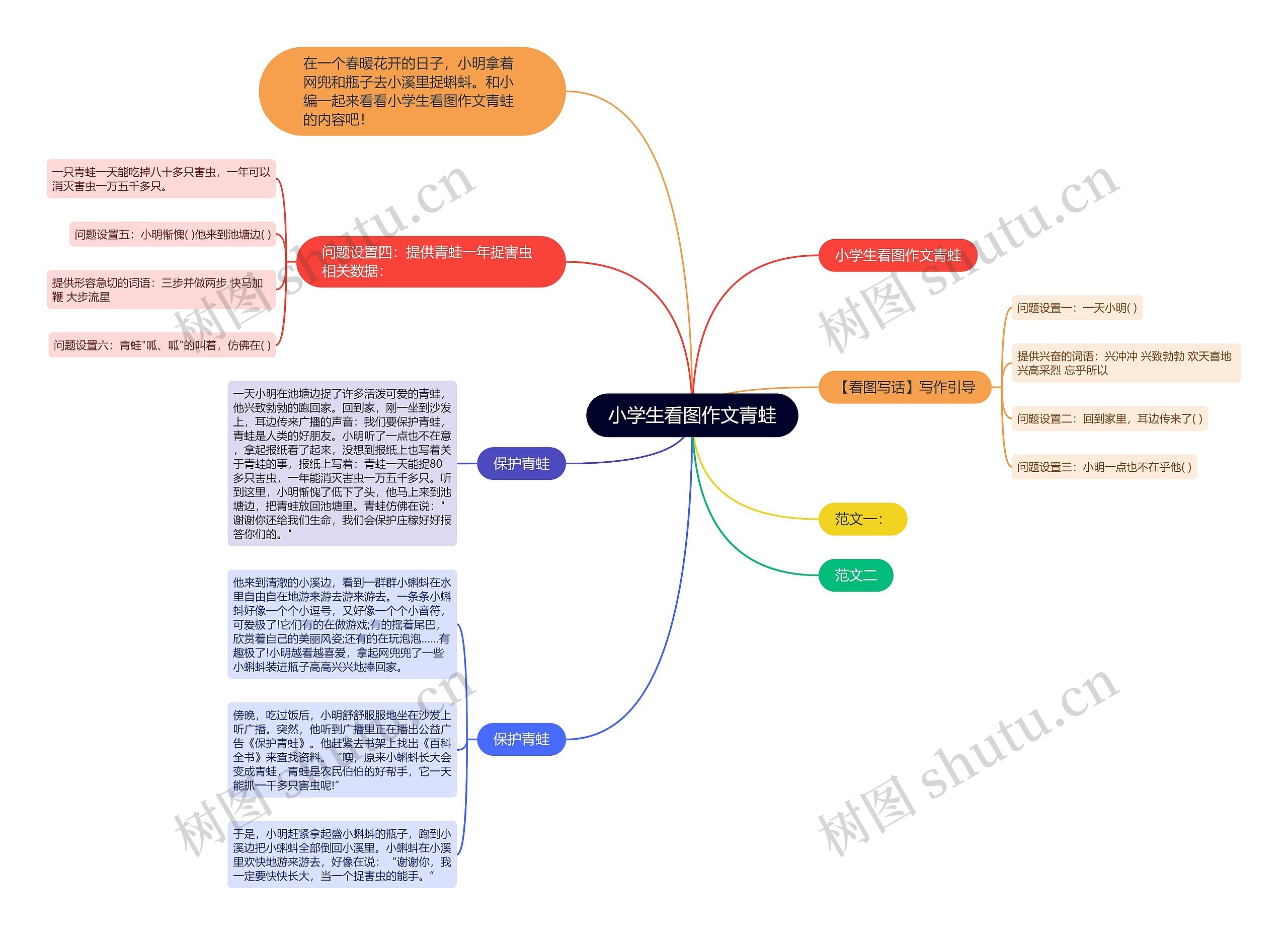 小学生看图作文青蛙思维导图