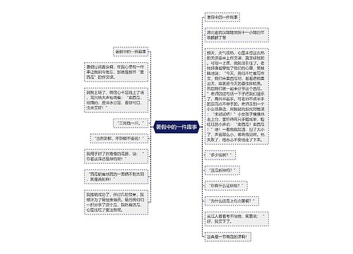 暑假中的一件趣事