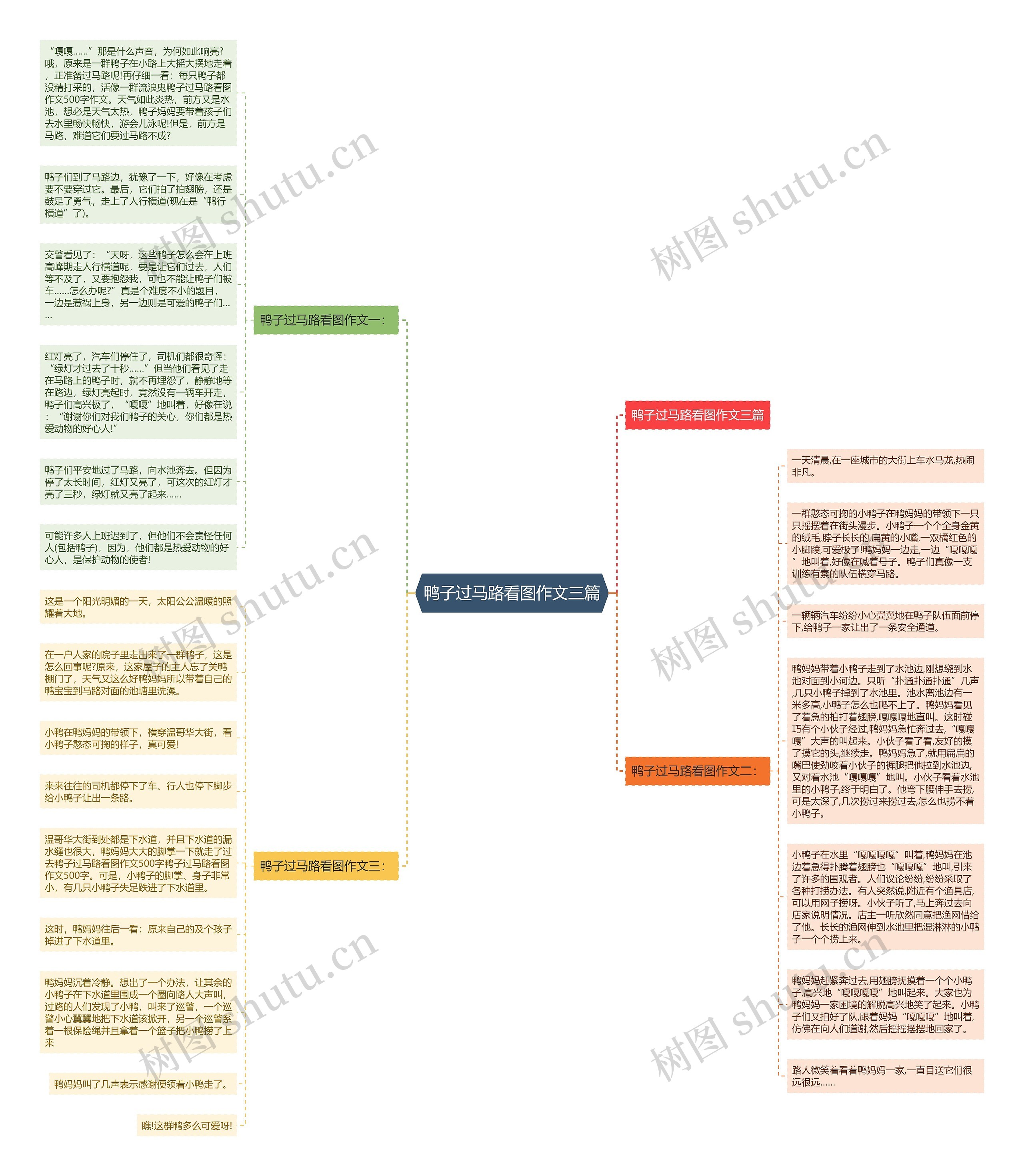 鸭子过马路看图作文三篇思维导图