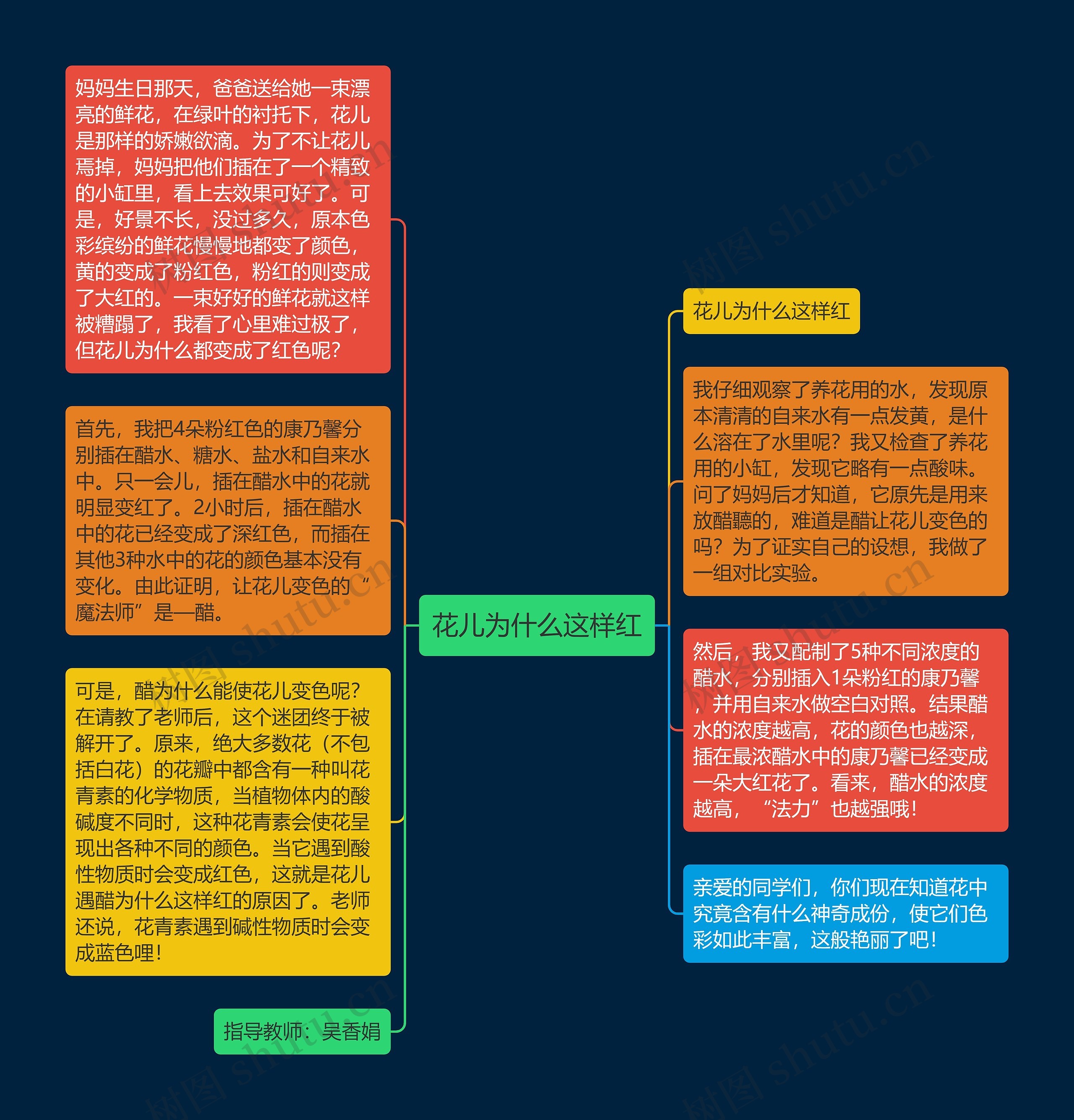 花儿为什么这样红思维导图