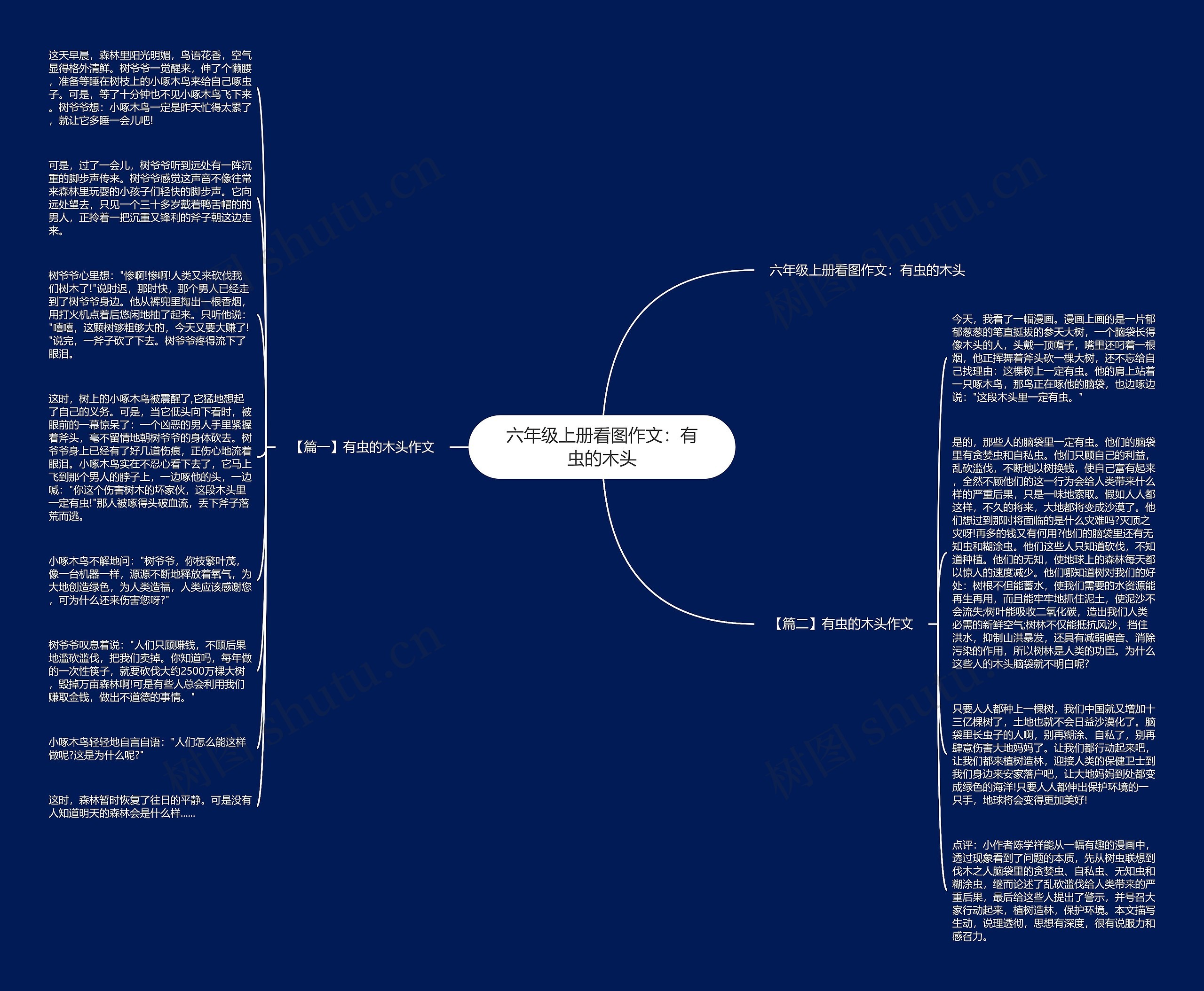 六年级上册看图作文：有虫的木头思维导图
