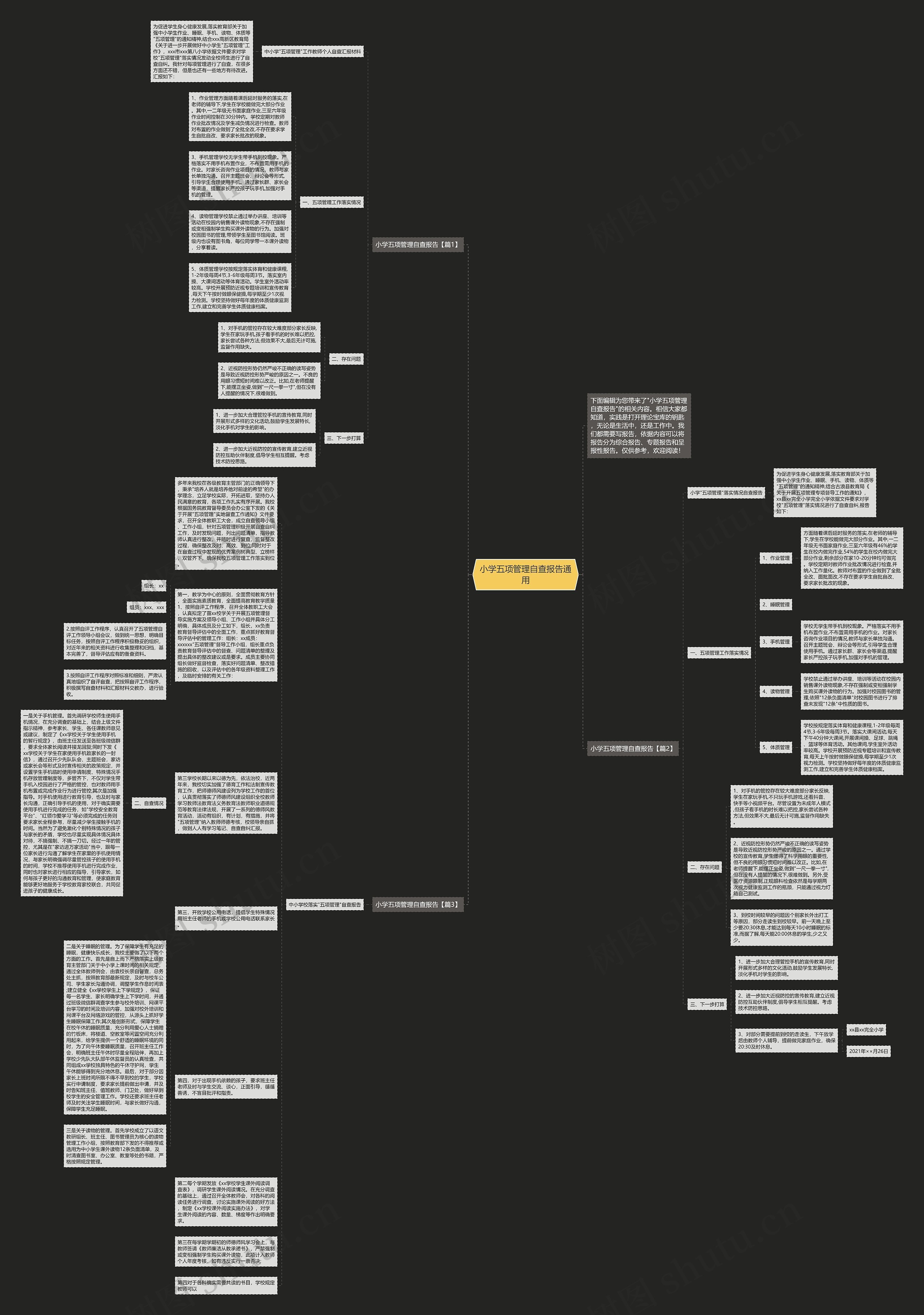 小学五项管理自查报告通用思维导图