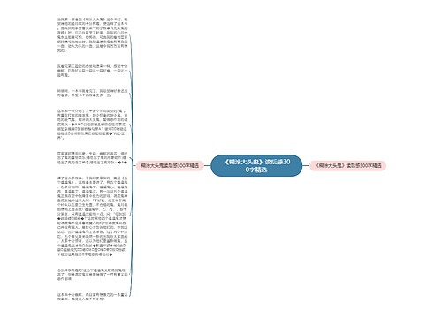 《糊涂大头鬼》读后感300字精选