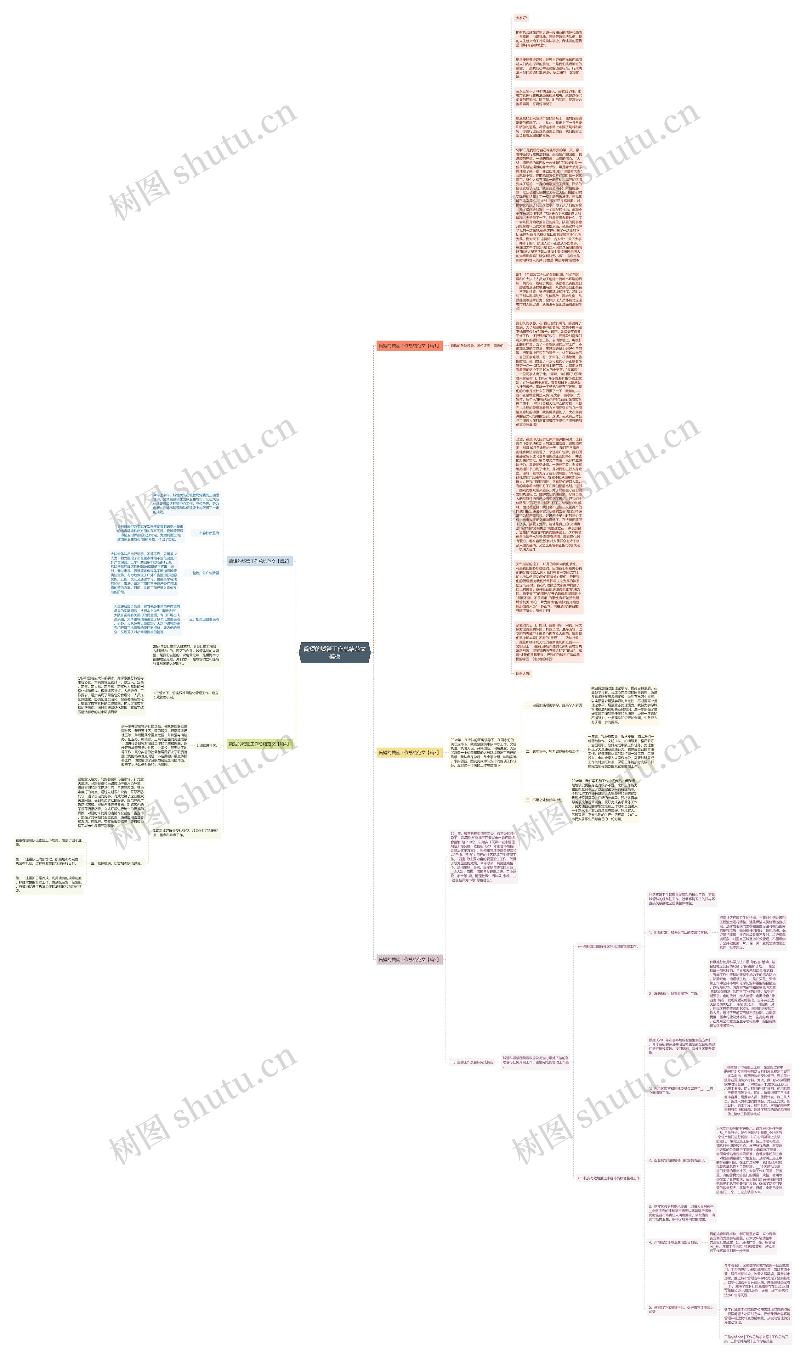 简短的城管工作总结范文思维导图