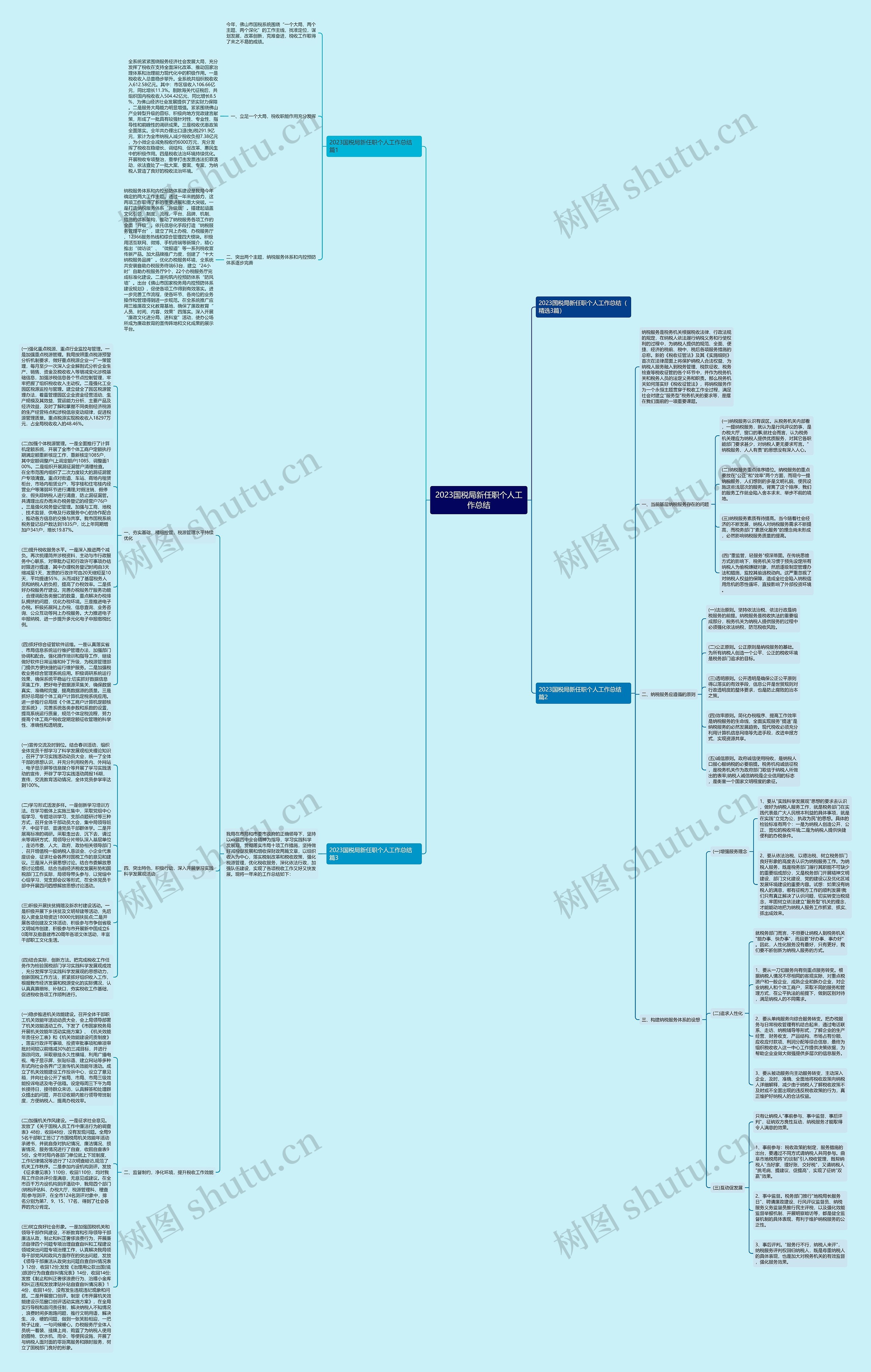 2023国税局新任职个人工作总结思维导图