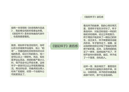 《骆驼祥子》读后感