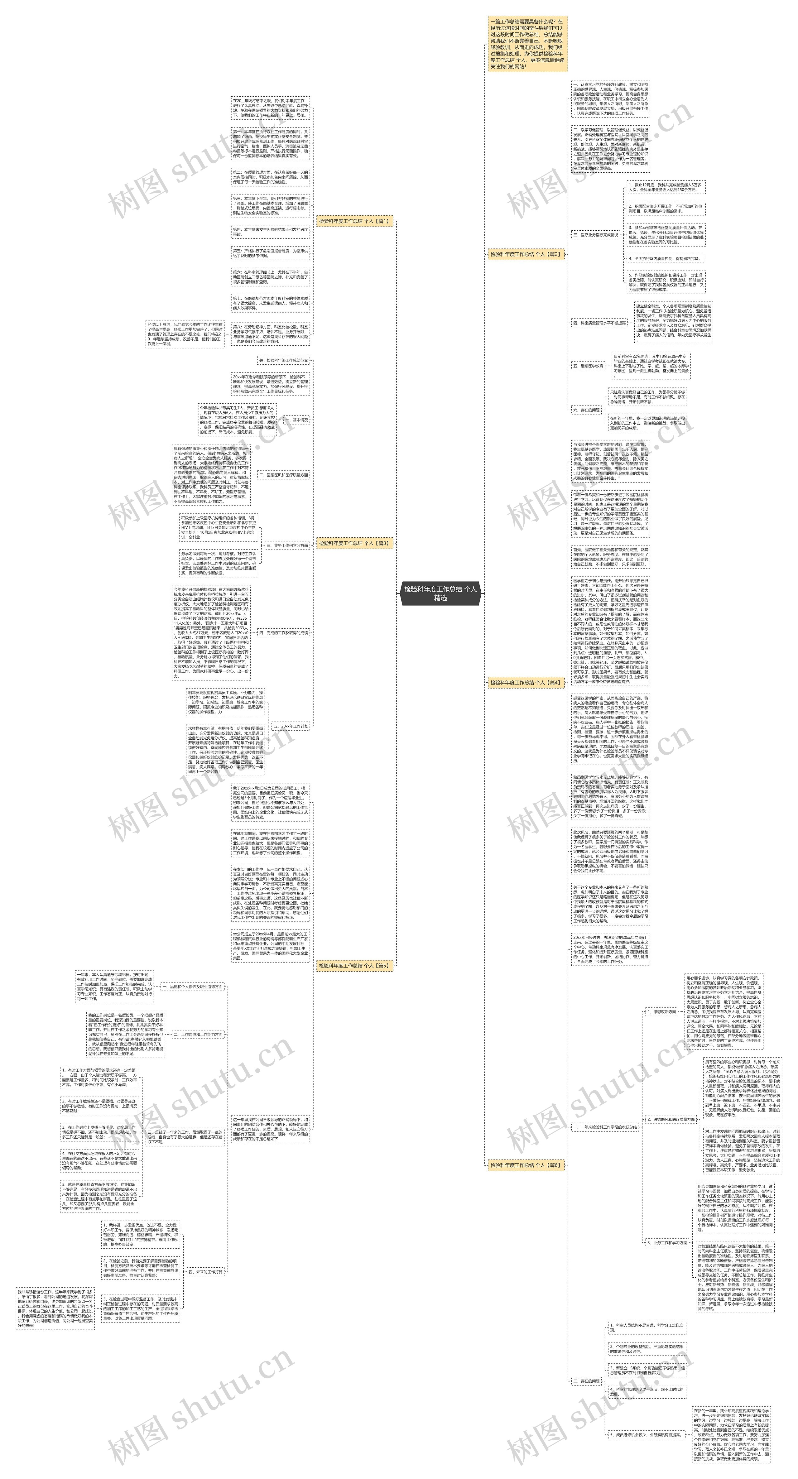 检验科年度工作总结 个人精选思维导图