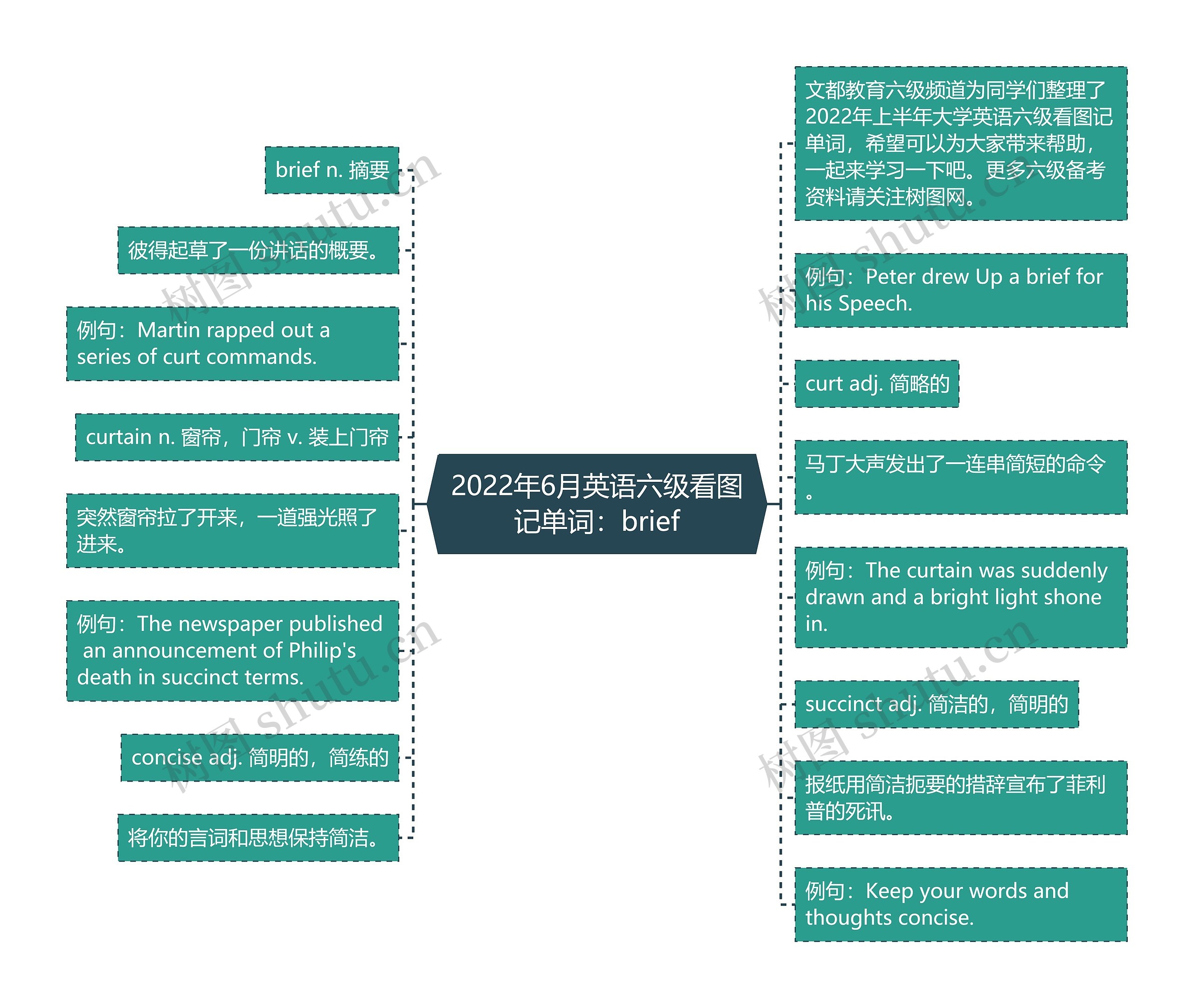 2022年6月英语六级看图记单词：brief思维导图