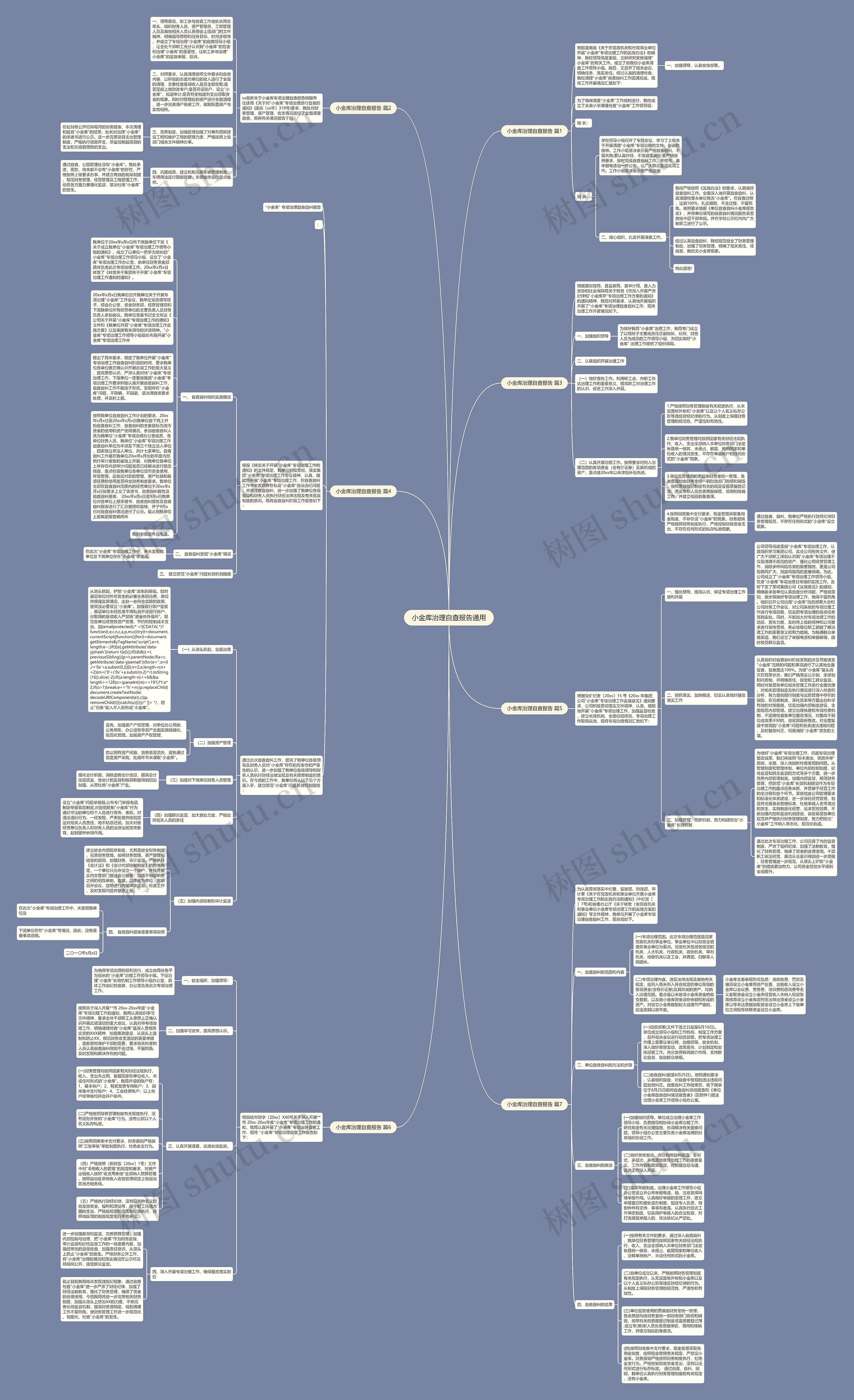 小金库治理自查报告通用思维导图