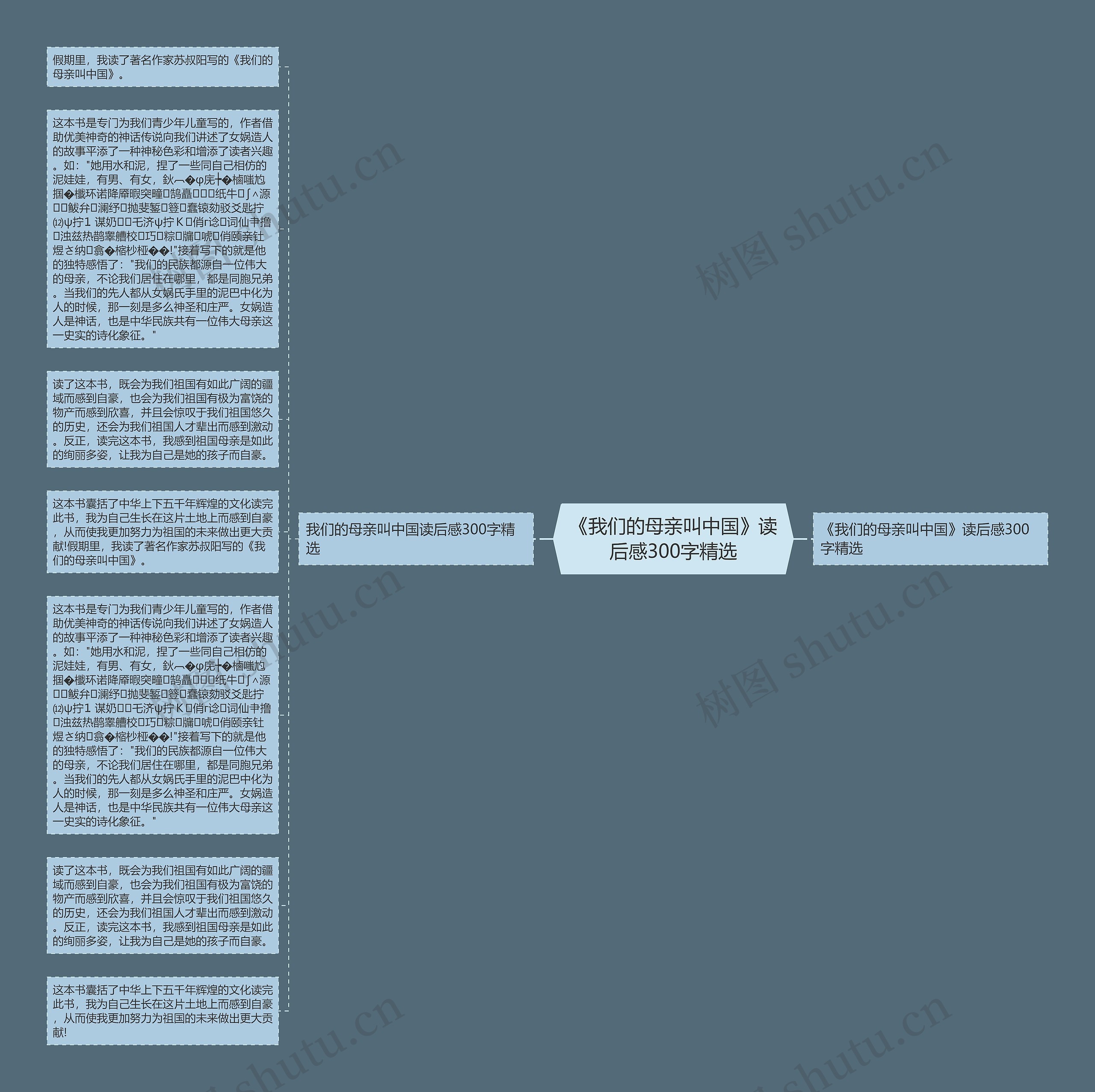 《我们的母亲叫中国》读后感300字精选思维导图