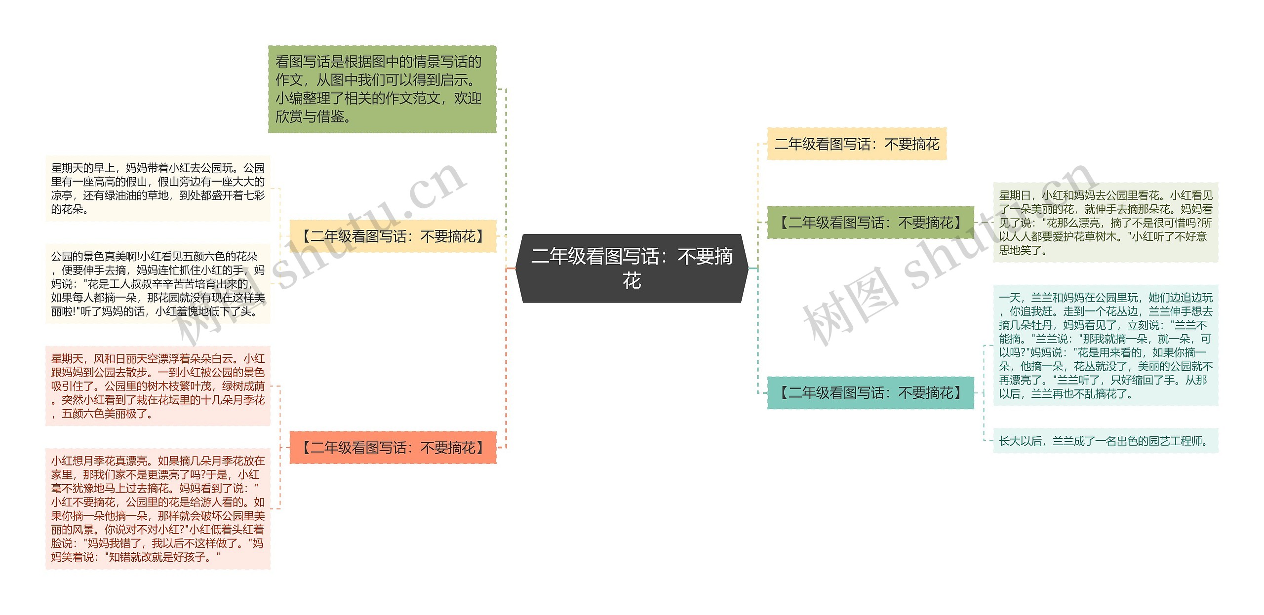 二年级看图写话：不要摘花