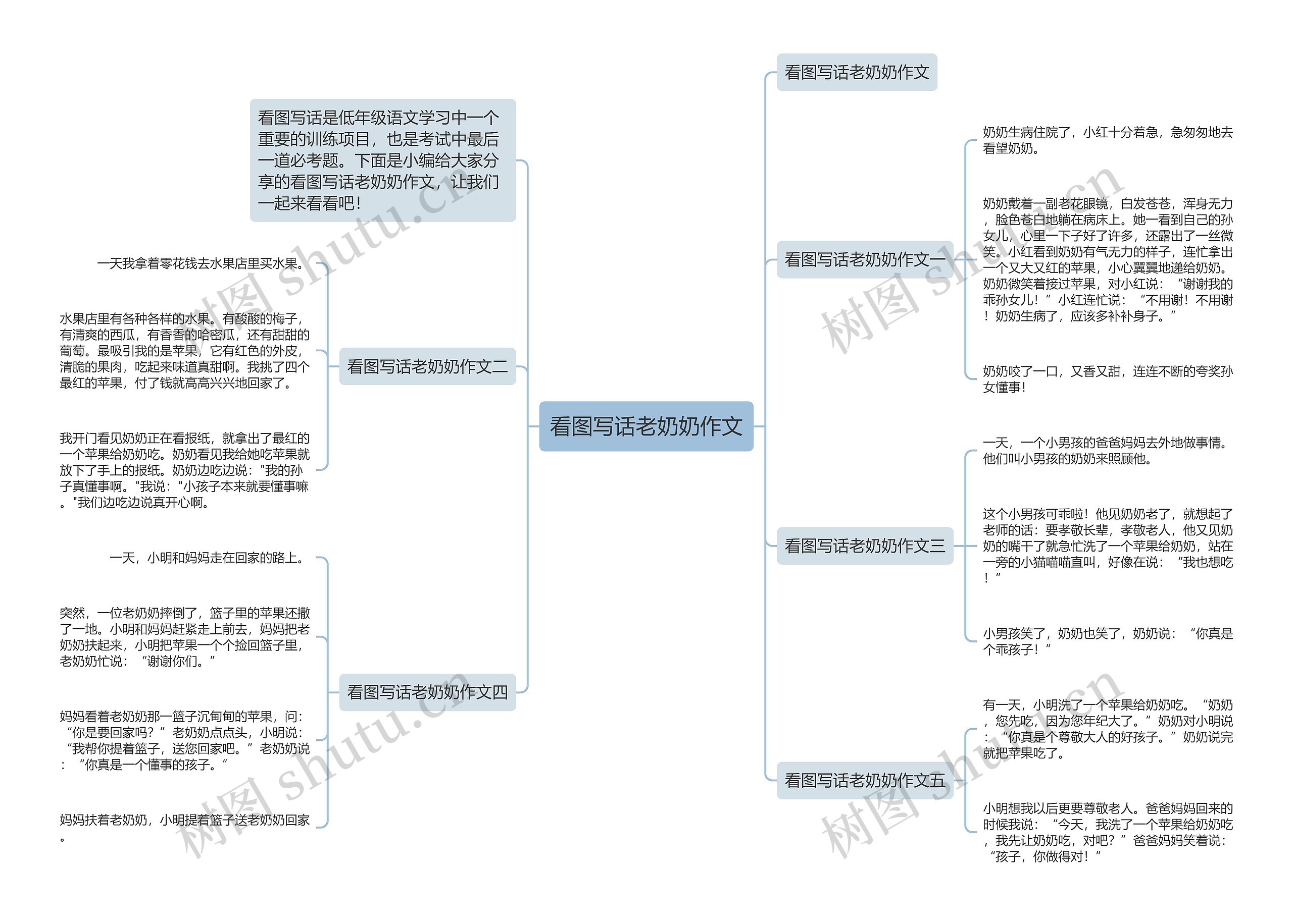 看图写话老奶奶作文思维导图