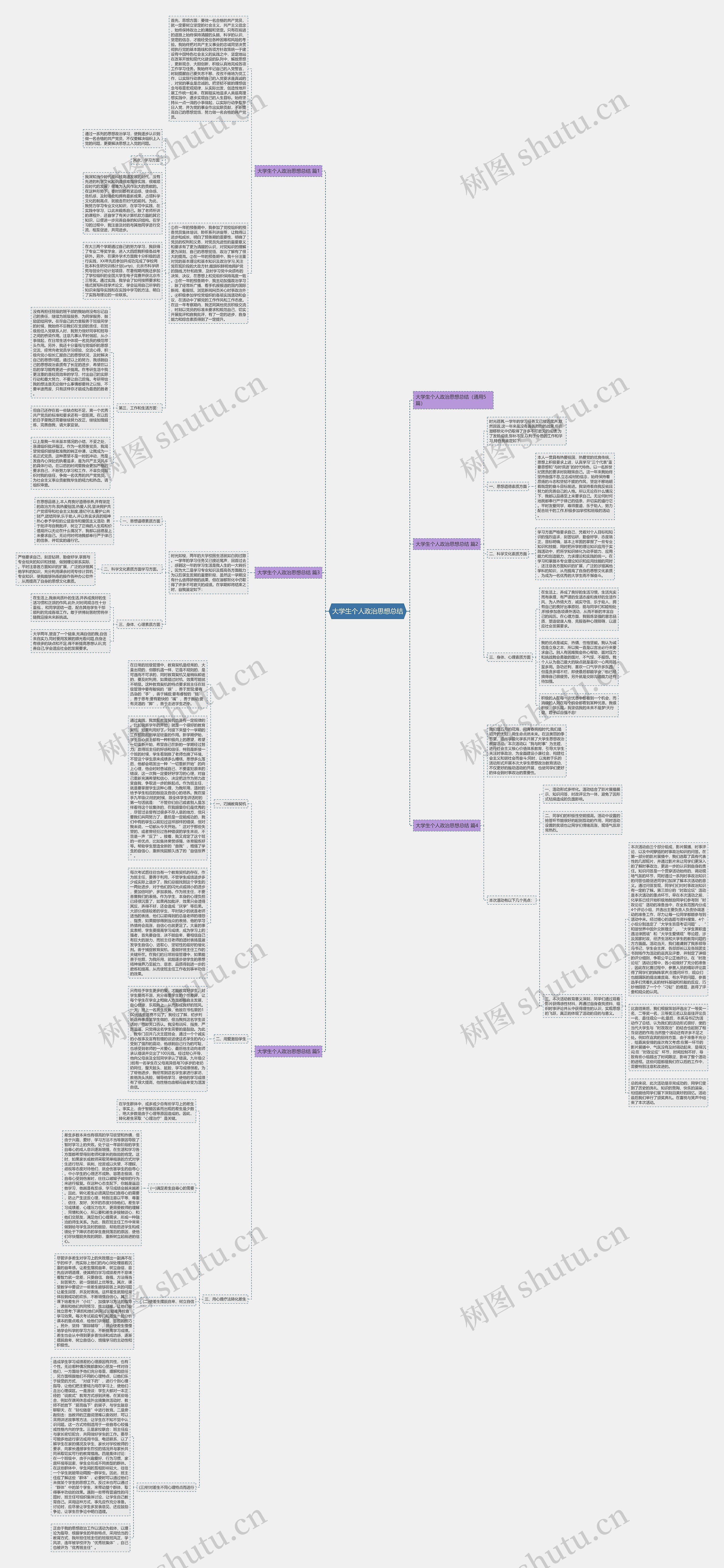 大学生个人政治思想总结 大学生个人政治思想总结