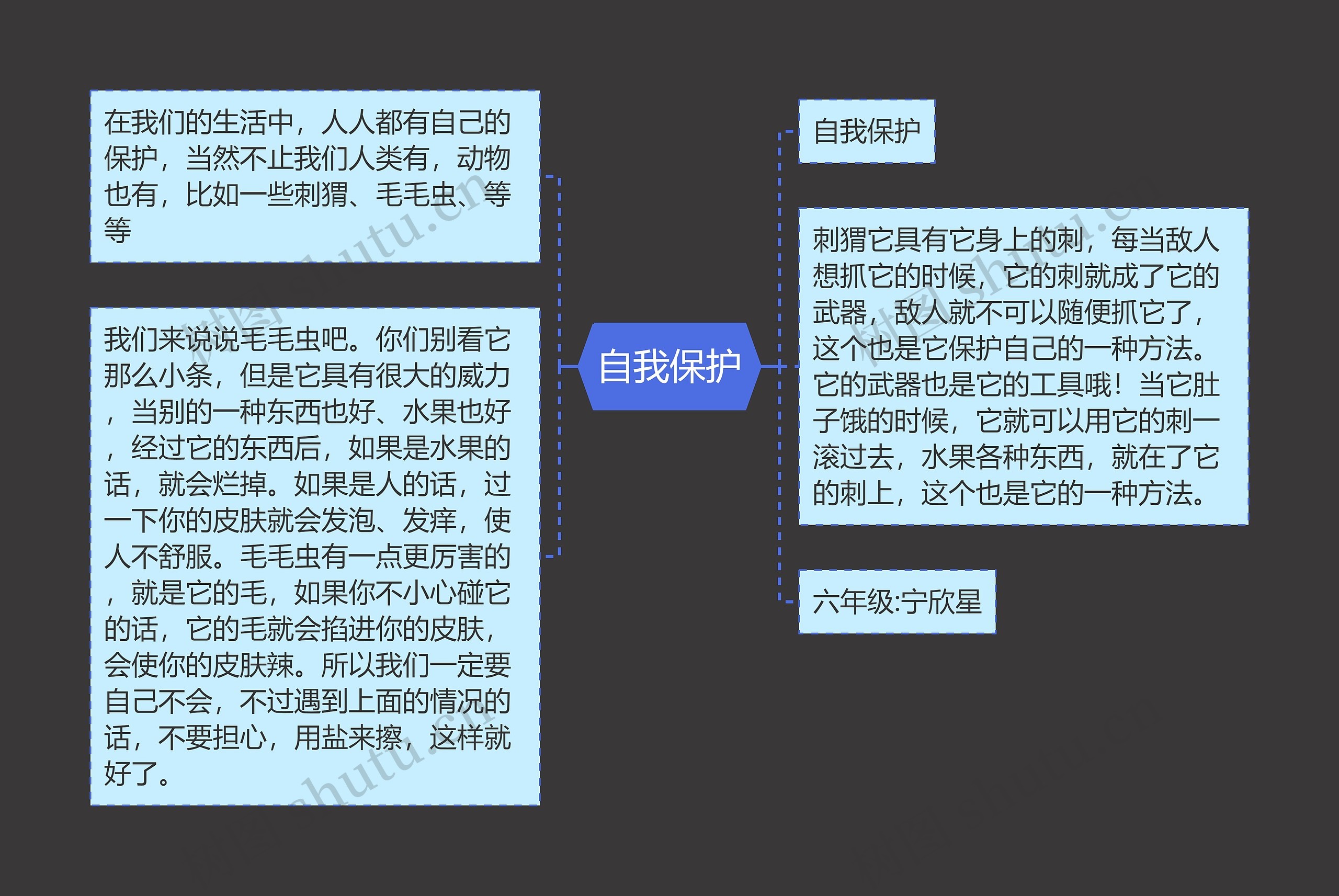 自我保护思维导图