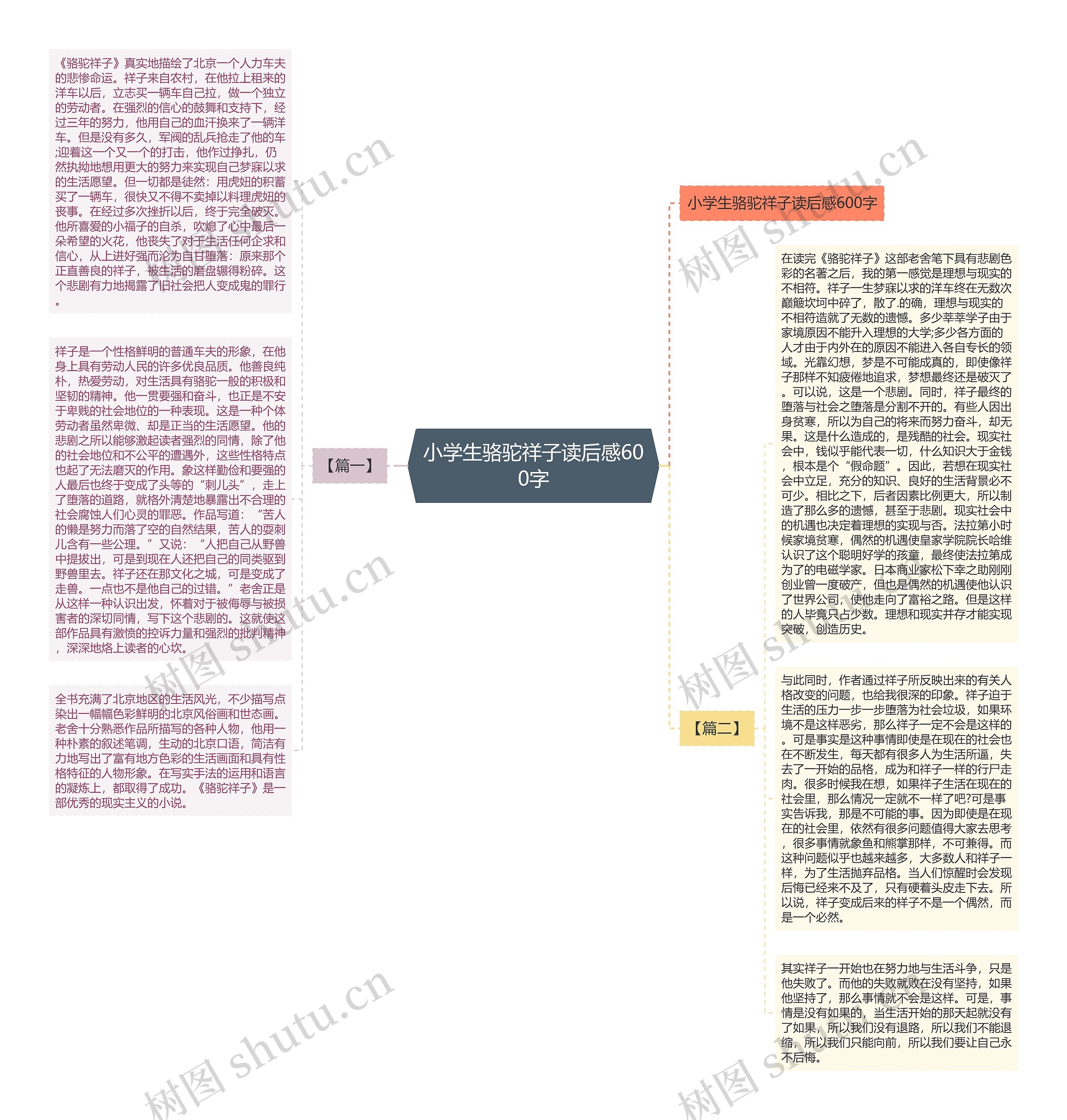 小学生骆驼祥子读后感600字思维导图