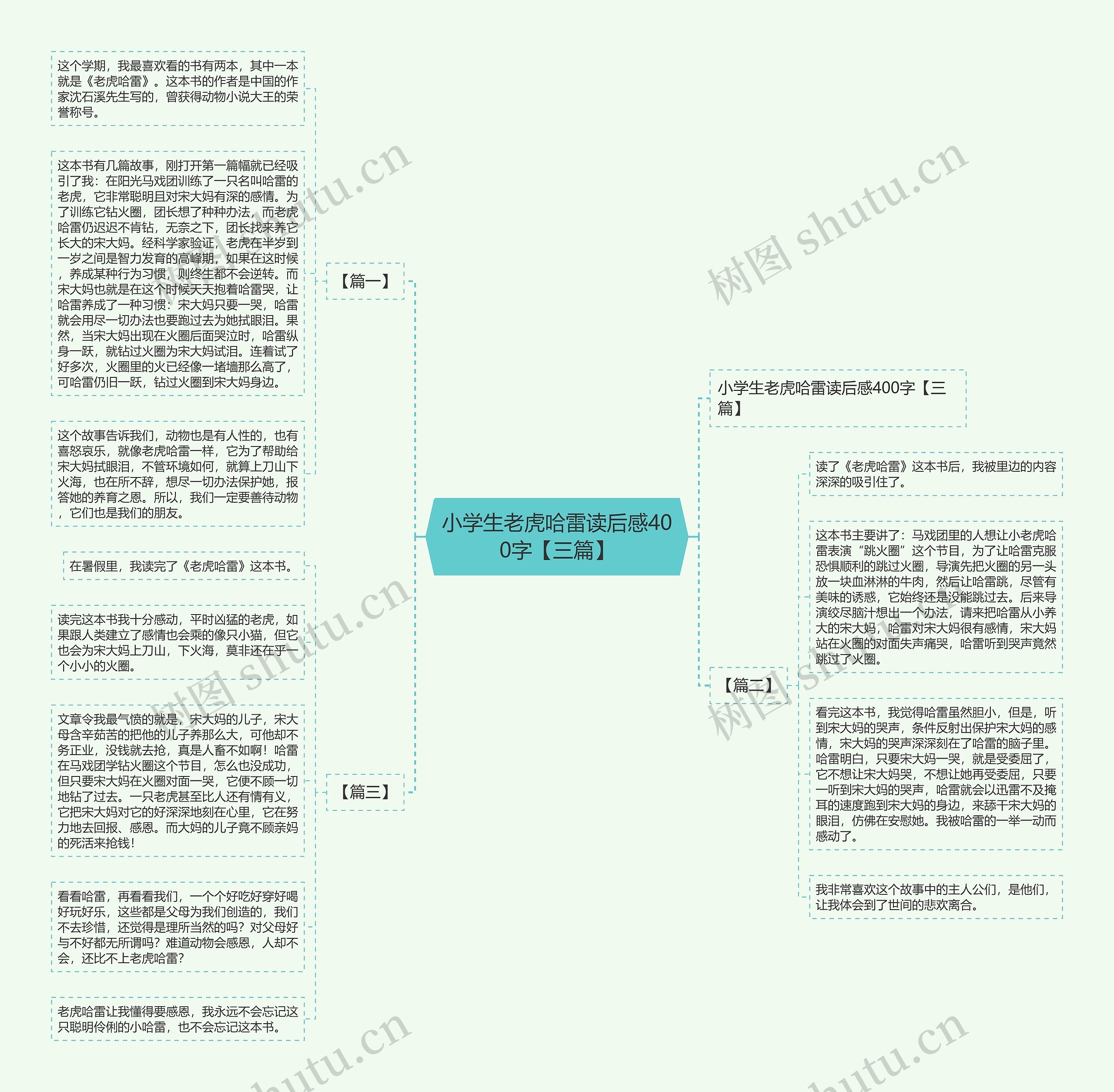 小学生老虎哈雷读后感400字【三篇】思维导图