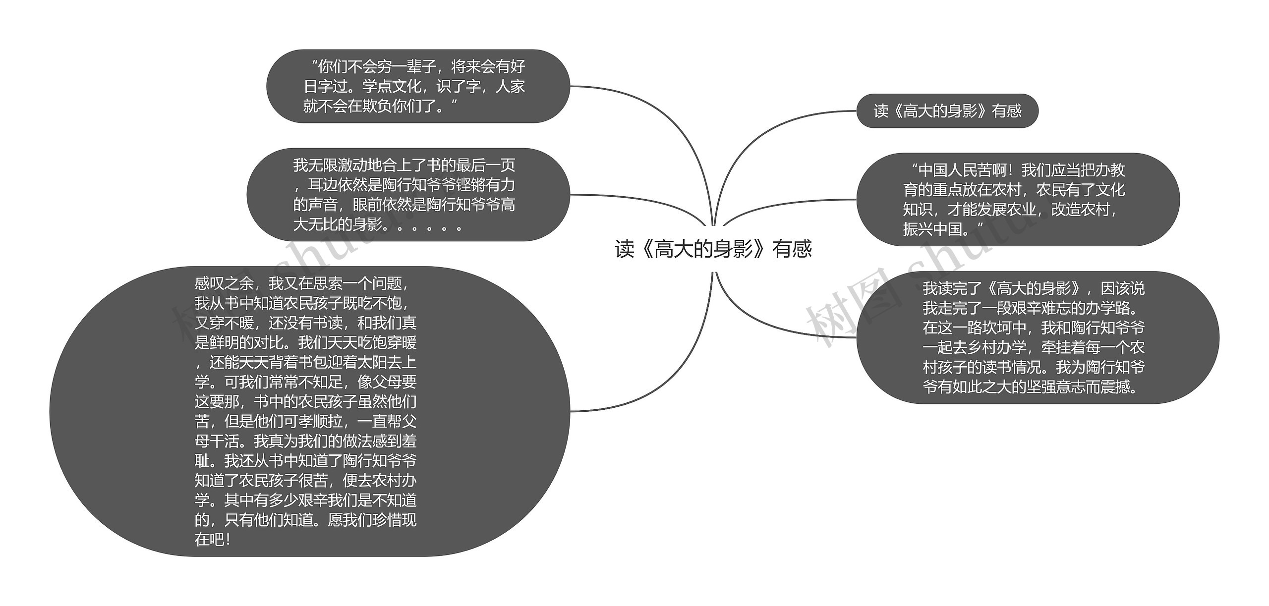 读《高大的身影》有感