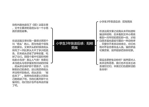 小学生3年级读后感：阳刚男孩