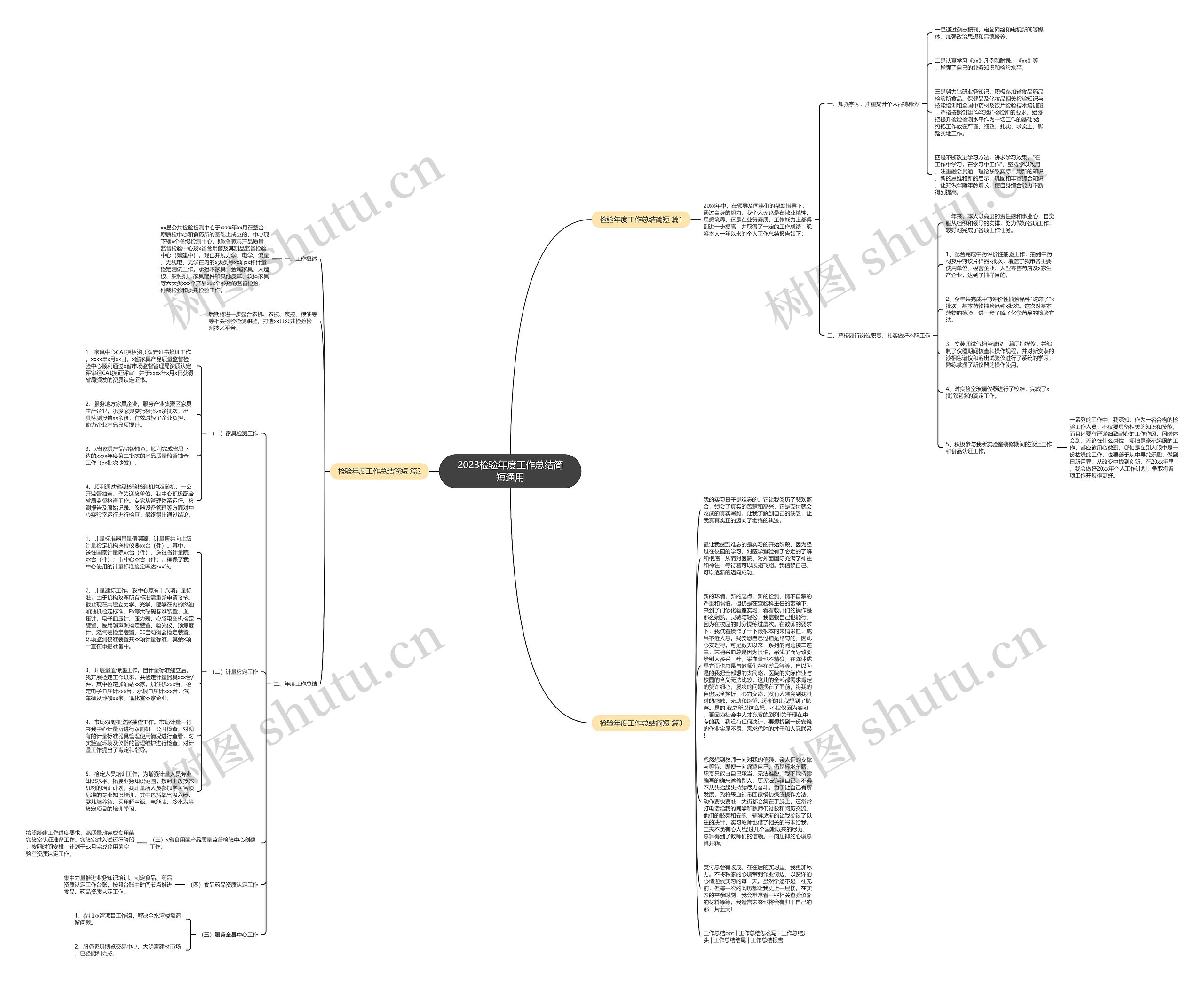 2023检验年度工作总结简短通用思维导图