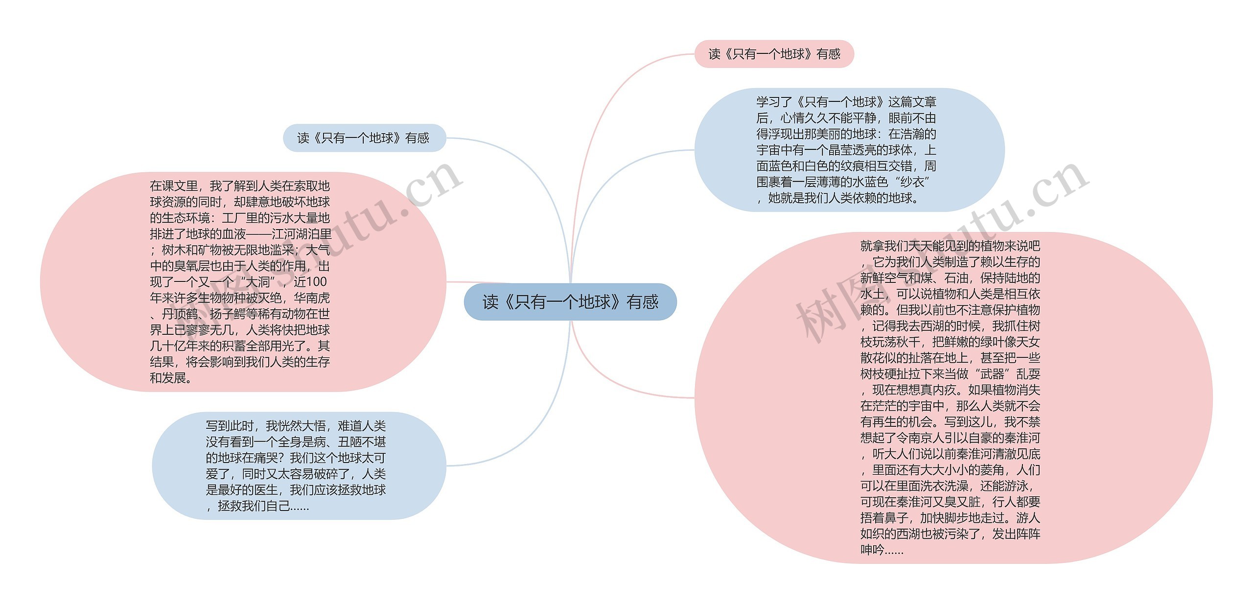 读《只有一个地球》有感思维导图