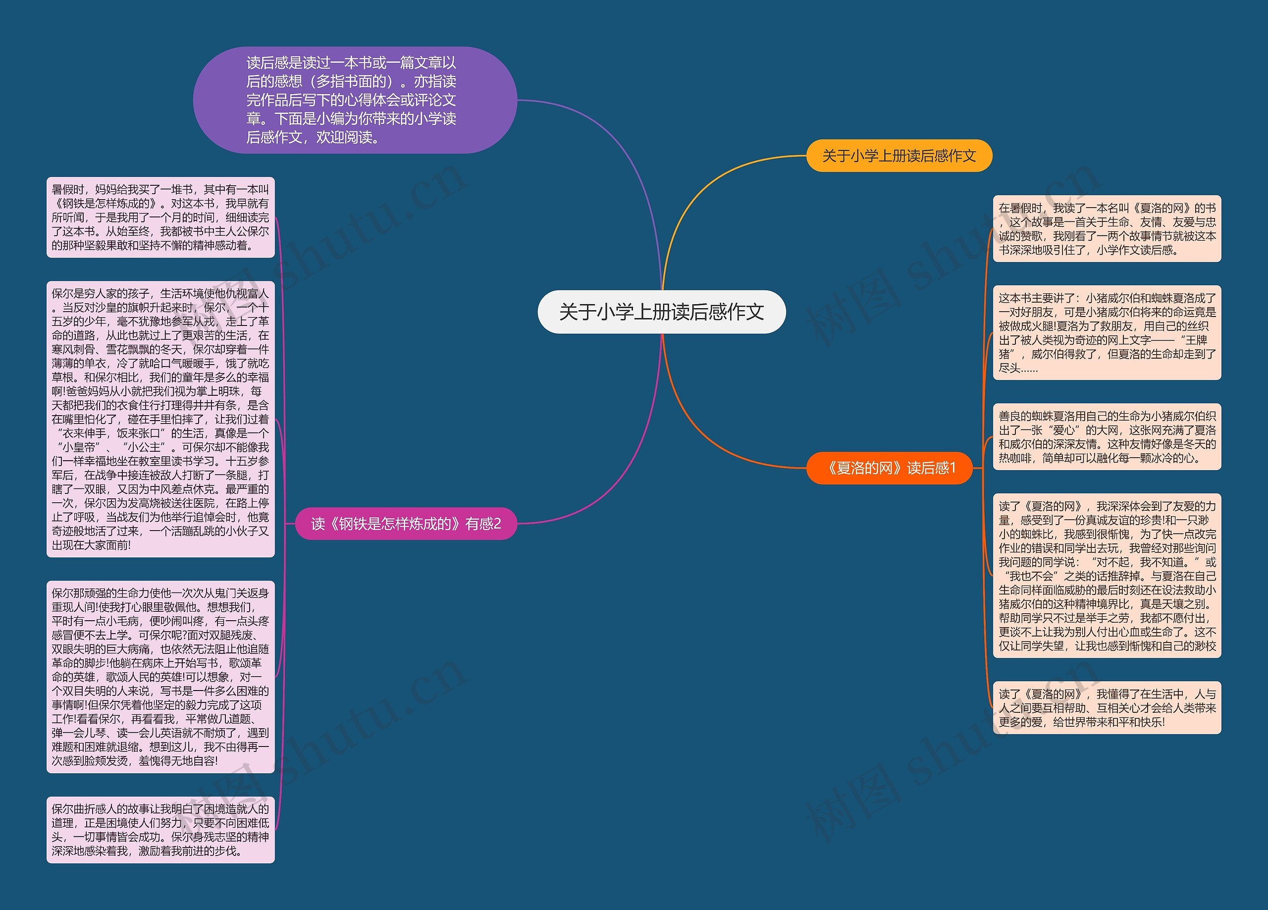 关于小学上册读后感作文