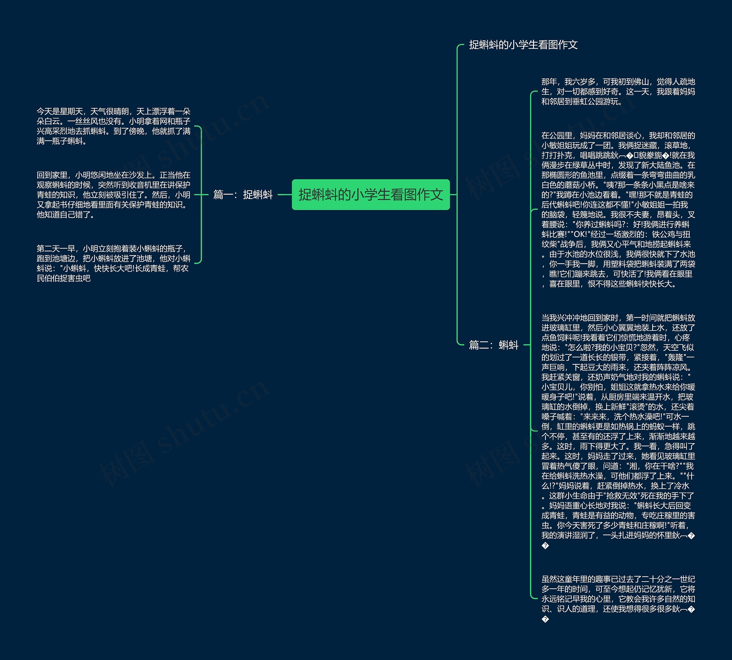 捉蝌蚪的小学生看图作文思维导图