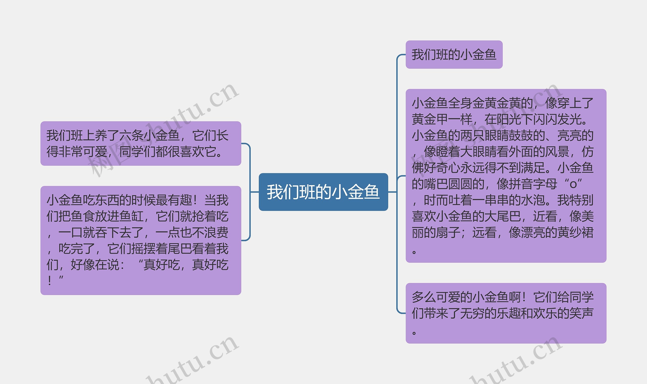 我们班的小金鱼思维导图