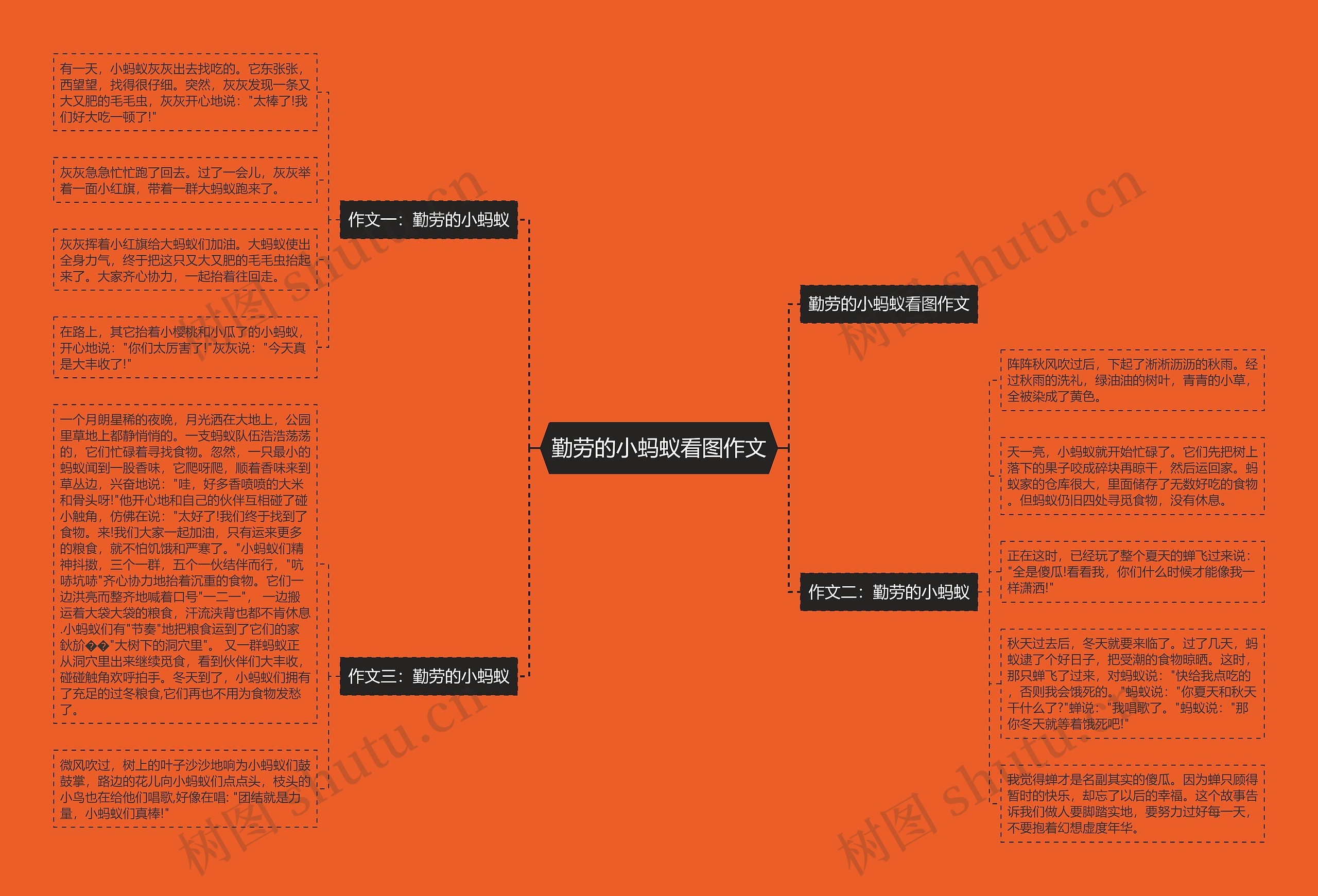 勤劳的小蚂蚁看图作文思维导图