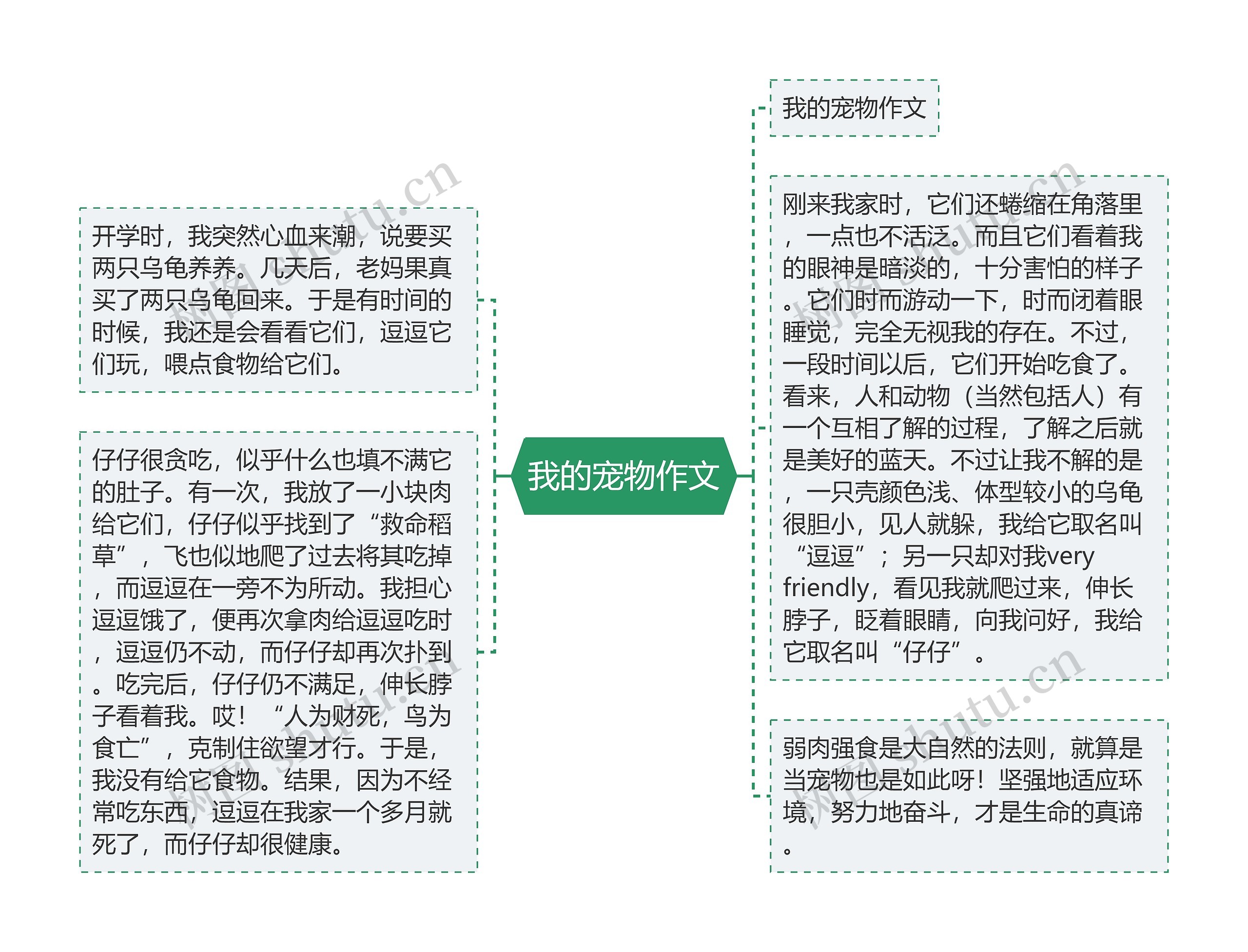 我的宠物作文思维导图